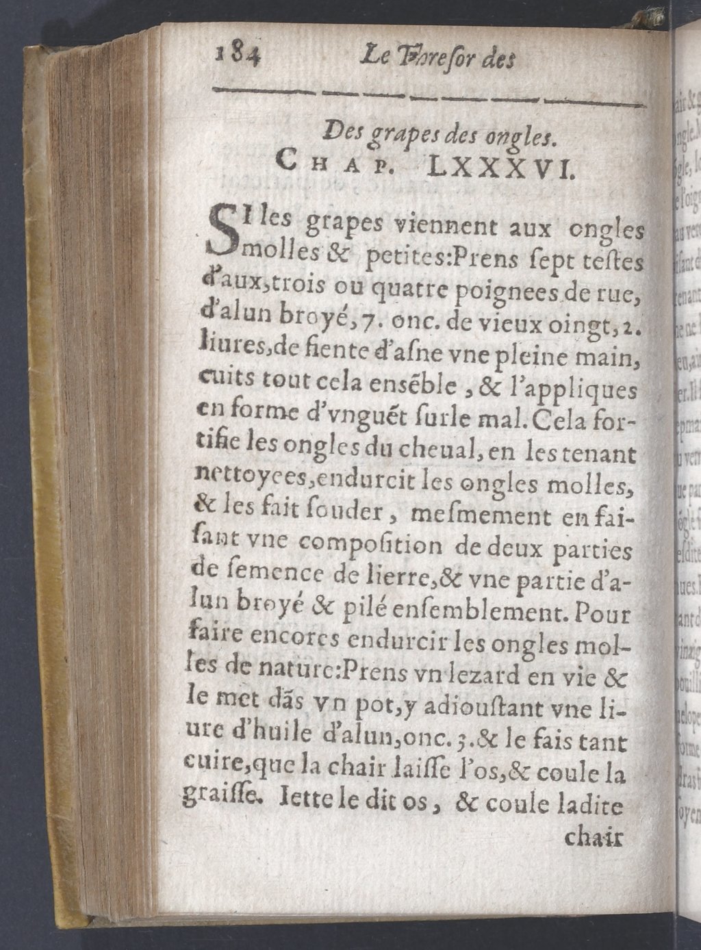 1619 - Pierre Rigaud - Trésor des bêtes chevalines - BnF