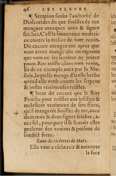 1586 - Benoît Rigaud - Trésor des fleurs et secrets de médecine - Université Paris Cité 1586 - Benoît Rigaud - Trésor des fleurs et secrets de médecine - Université Paris Cité