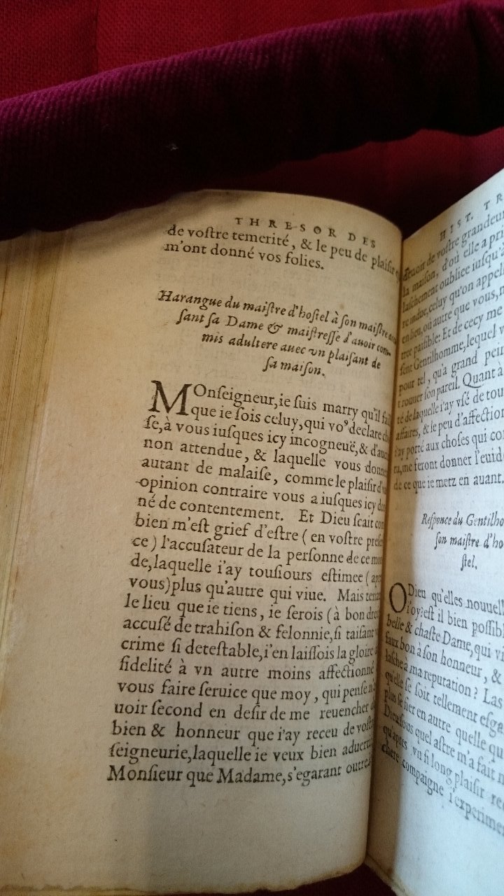 1581 - Pierre Le Voirier et Gervais Mallot - Trésor des histoires tragiques - BnF Richelieu