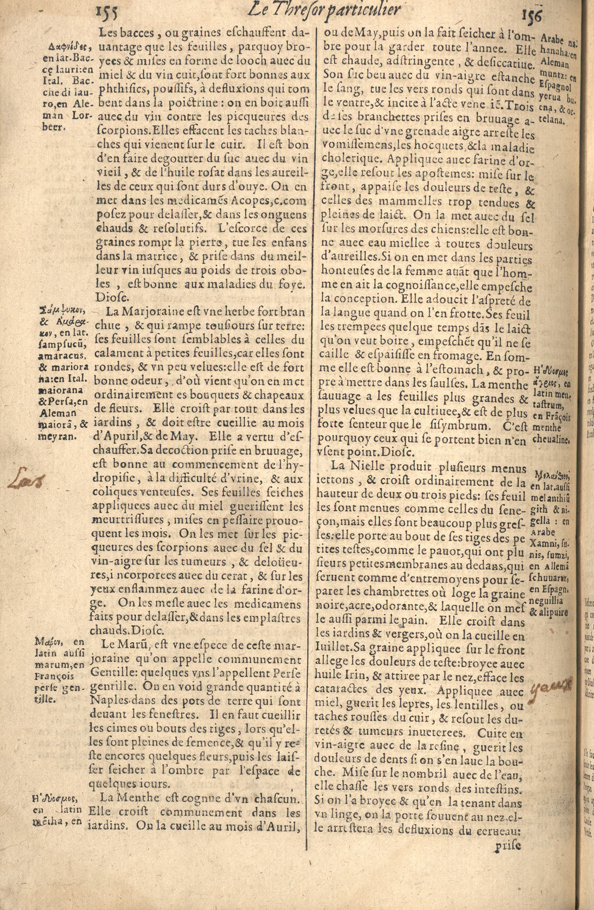 1610 - Étienne Gamonet - Grand Trésor ou dispensaire - CESR Tours