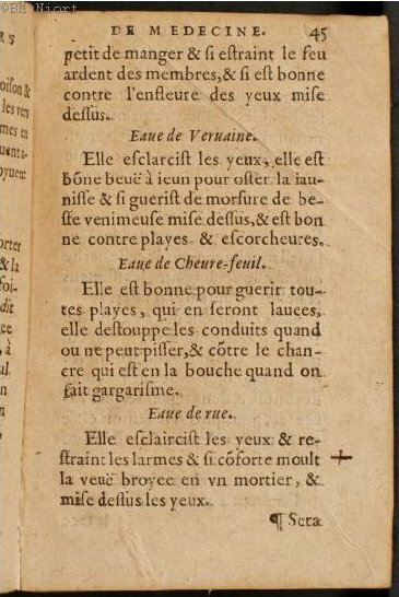 1586 - Benoît Rigaud - Trésor des fleurs et secrets de médecine - Université Paris Cité