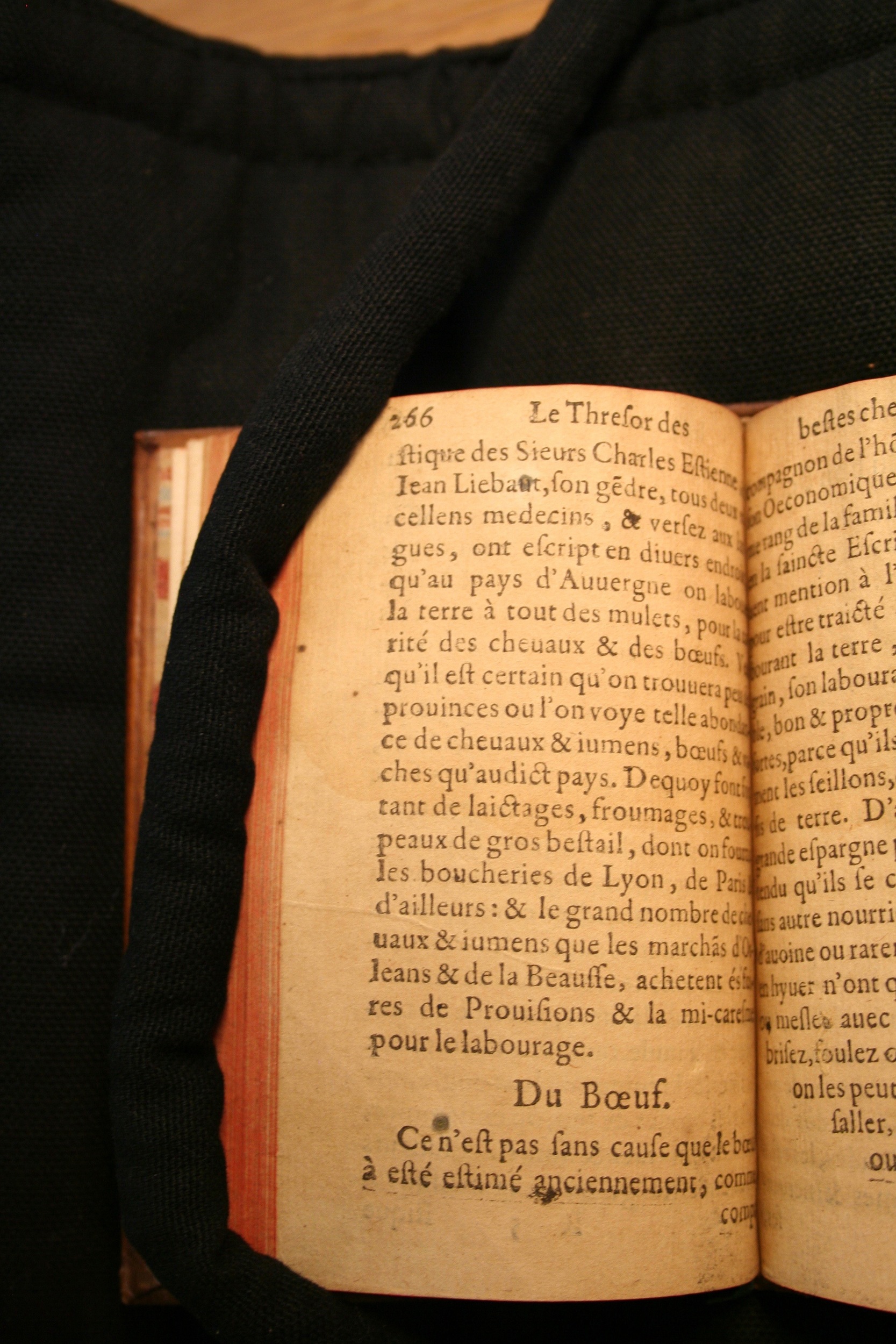 1591 - Pierre Chastaing et Benoît Rigaud - Trésor des bêtes chevalines - BM Bordeaux