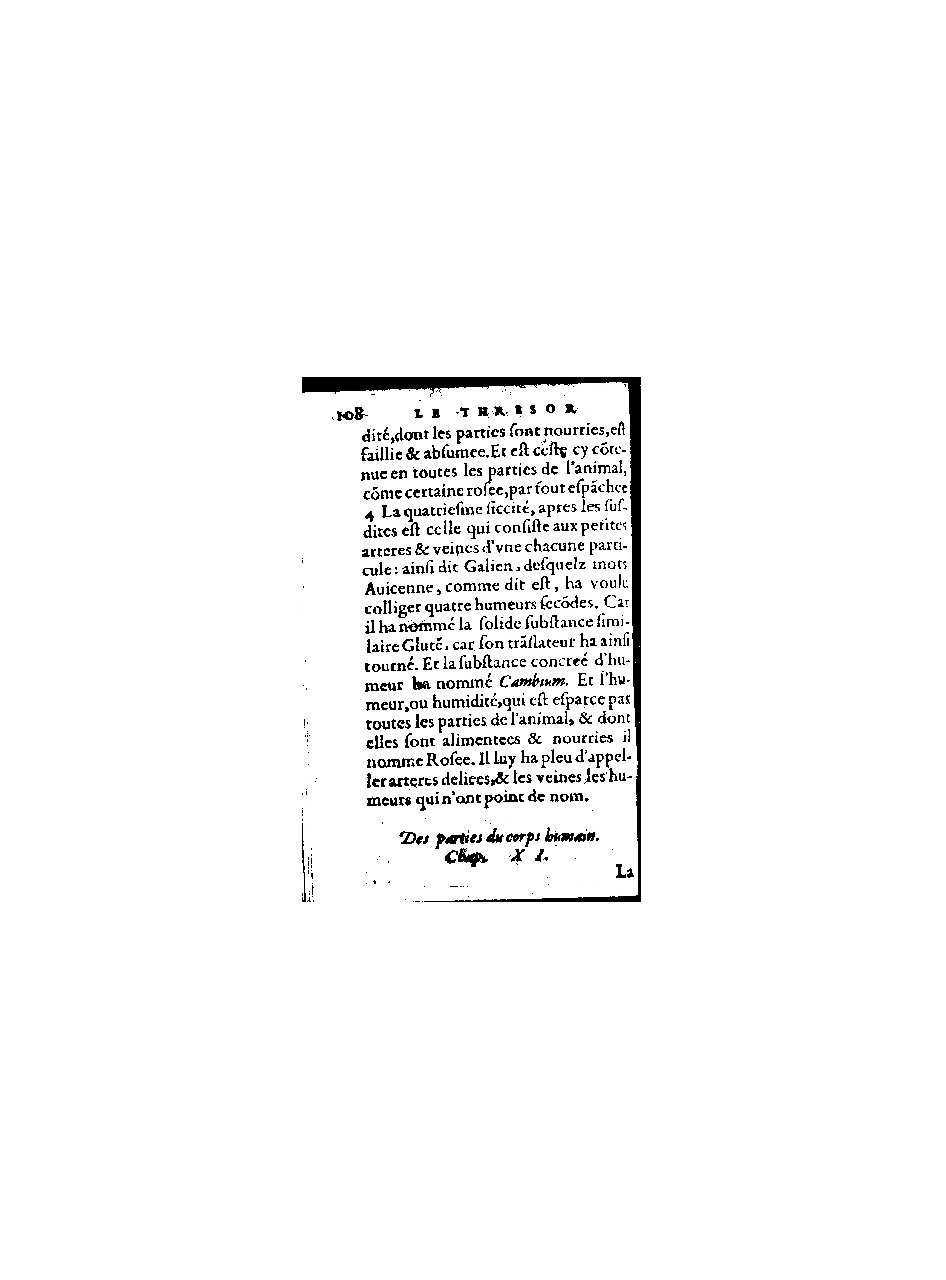 1578 - Benoît Rigaud - Trésor de médecine tant théorique que pratique - BnF