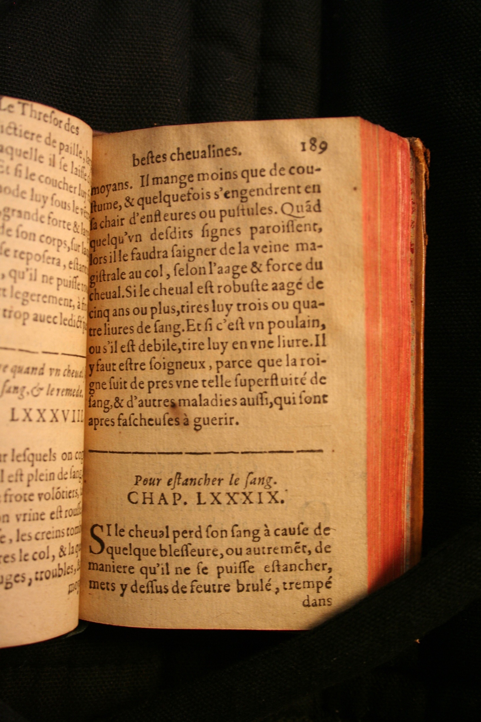 1591 - Pierre Chastaing et Benoît Rigaud - Trésor des bêtes chevalines - BM Bordeaux
