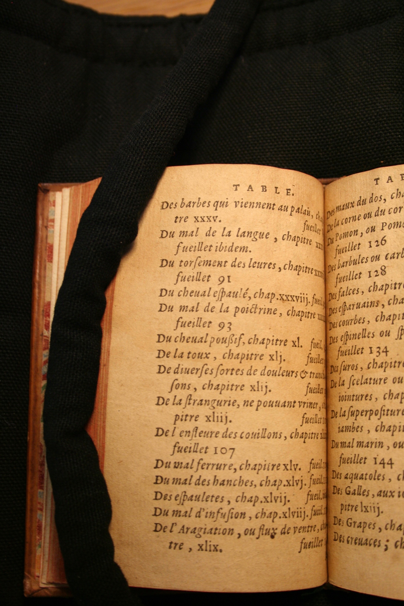 1591 - Pierre Chastaing et Benoît Rigaud - Trésor des bêtes chevalines - BM Bordeaux