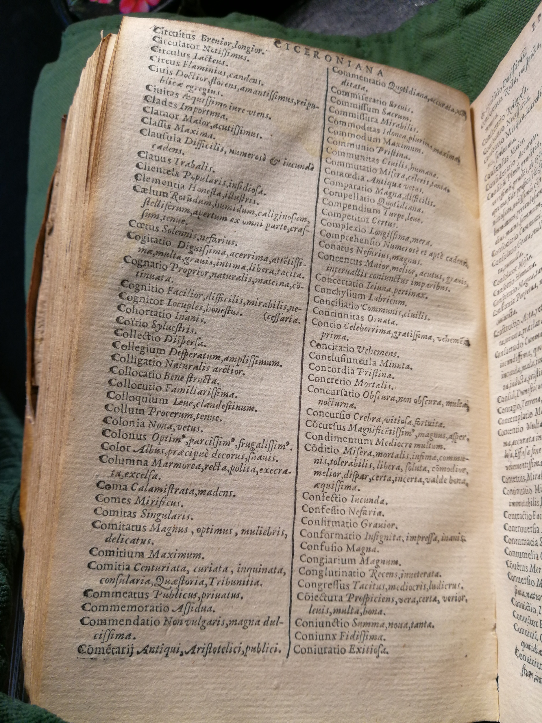1597 - Martin le Mégissier - Trésor des mots et traits français - BnF