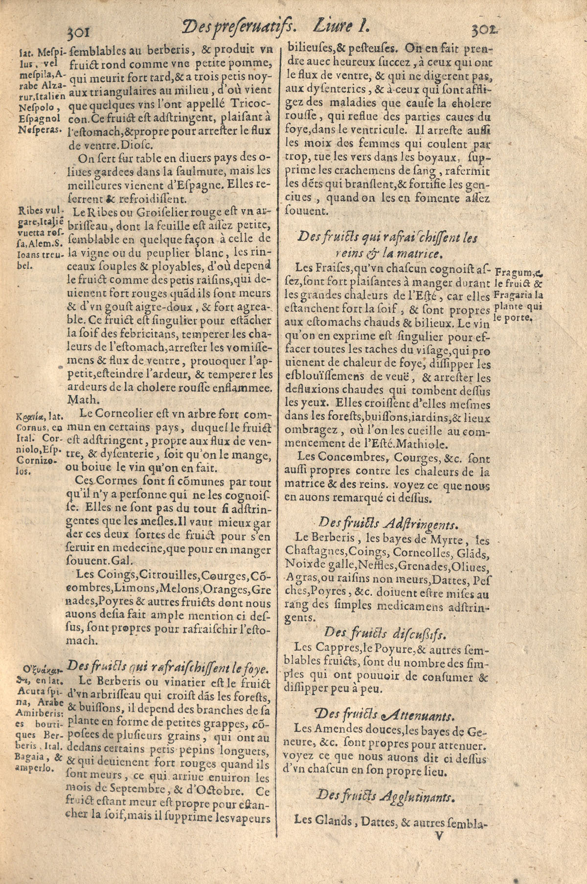 1610 - Étienne Gamonet - Grand Trésor ou dispensaire - CESR Tours