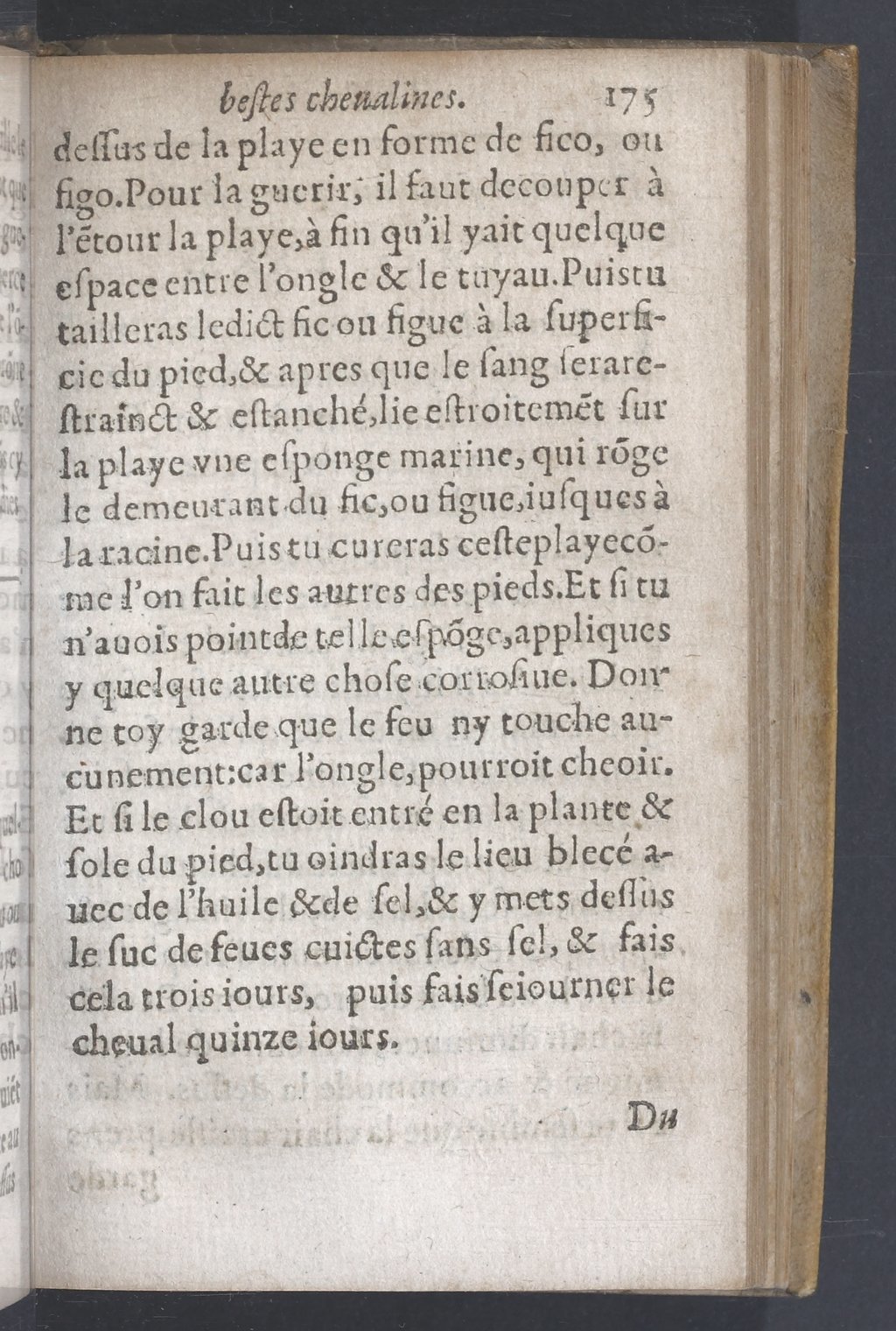 1619 - Pierre Rigaud - Trésor des bêtes chevalines - BnF 1619 - Pierre Rigaud - Trésor des bêtes chevalines - BnF