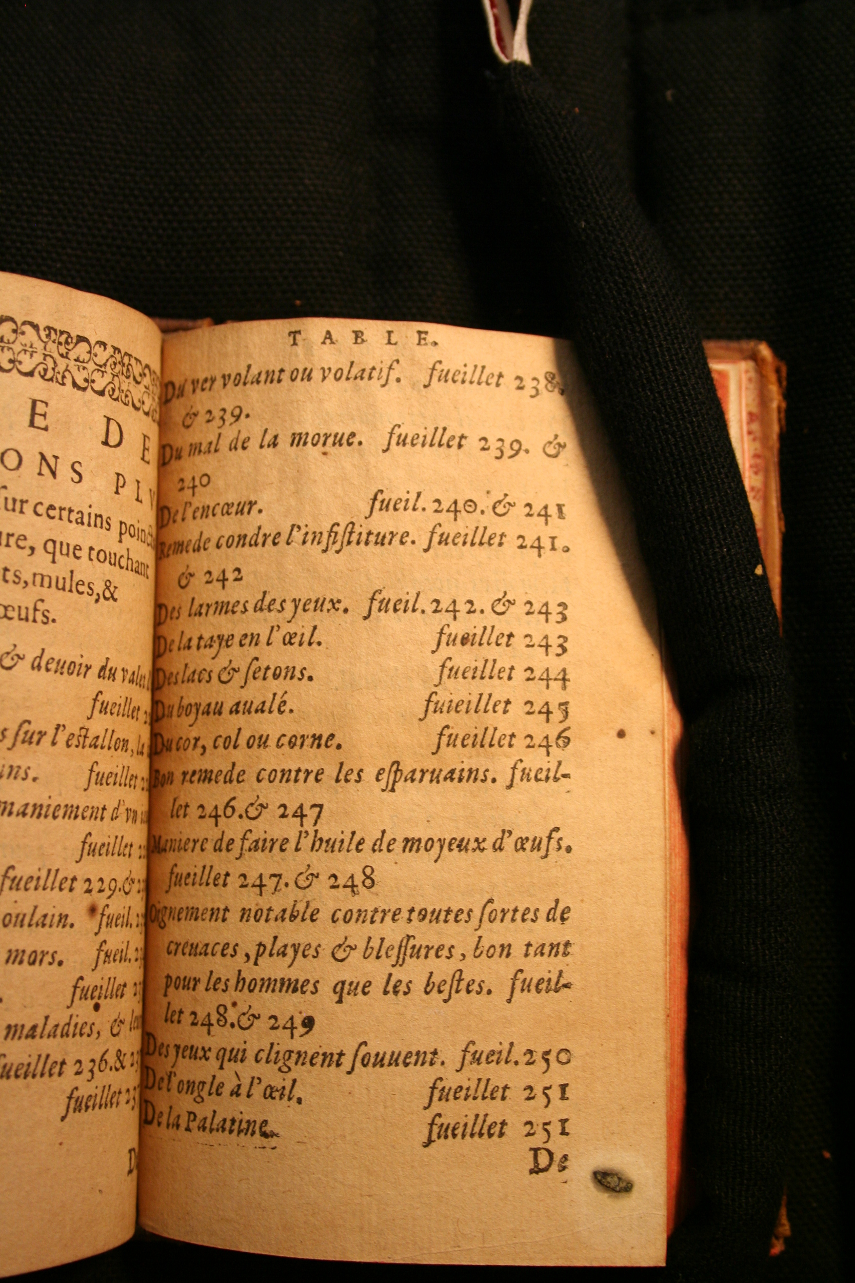 1591 - Pierre Chastaing et Benoît Rigaud - Trésor des bêtes chevalines - BM Bordeaux