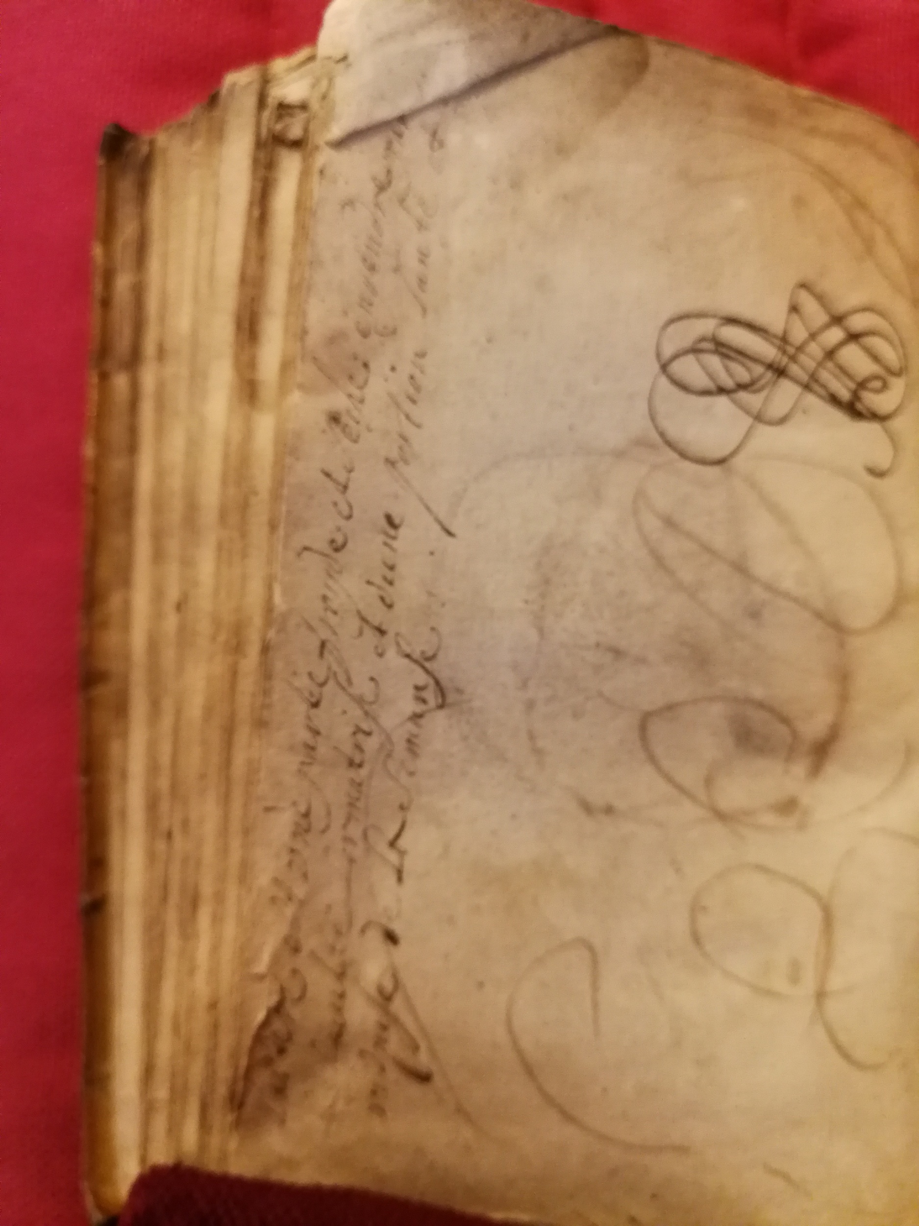 1586 - Benoît Rigaud - Trésor des fleurs et secrets de médecine - Sainte-Geneviève