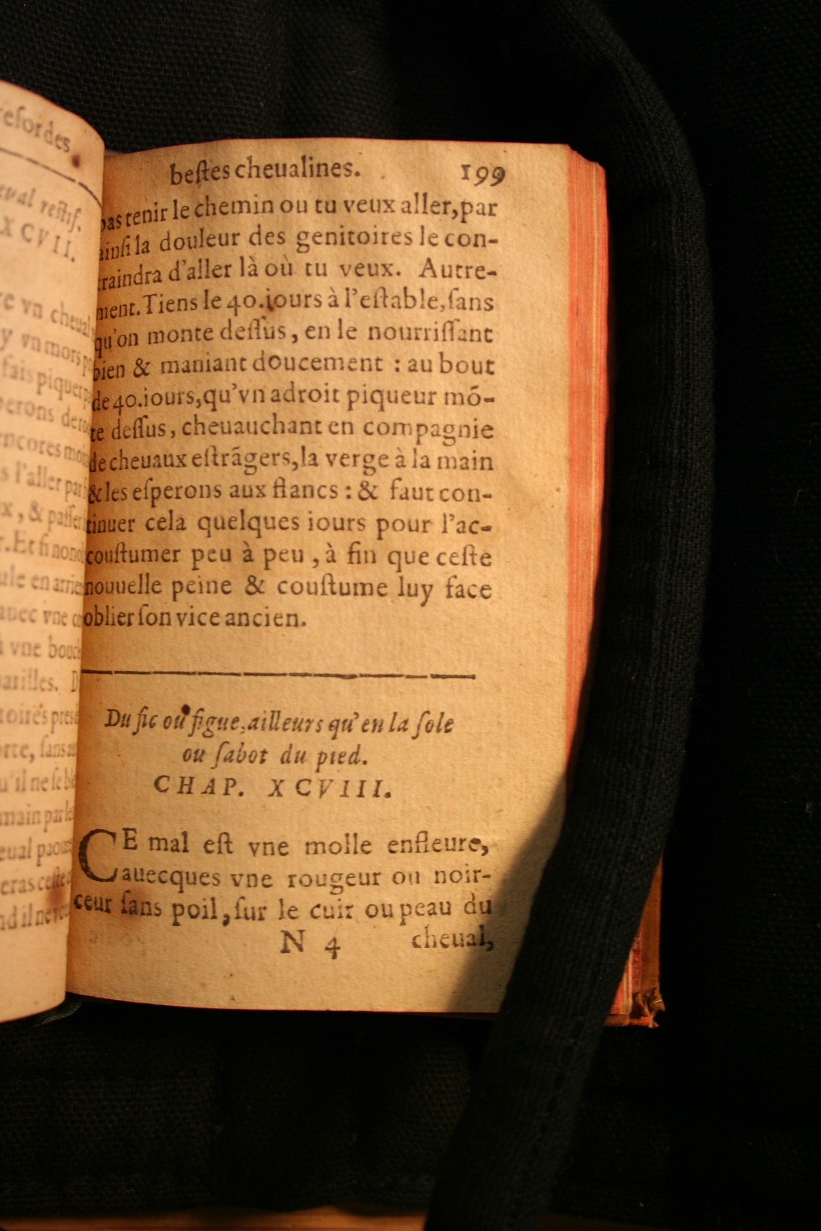 1591 - Pierre Chastaing et Benoît Rigaud - Trésor des bêtes chevalines - BM Bordeaux
