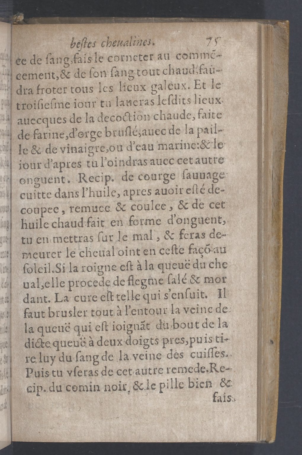 1619 - Pierre Rigaud - Trésor des bêtes chevalines - BnF