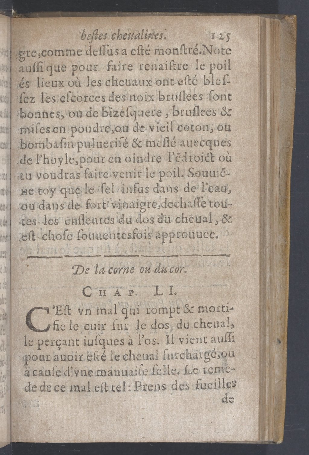 1619 - Pierre Rigaud - Trésor des bêtes chevalines - BnF 1619 - Pierre Rigaud - Trésor des bêtes chevalines - BnF