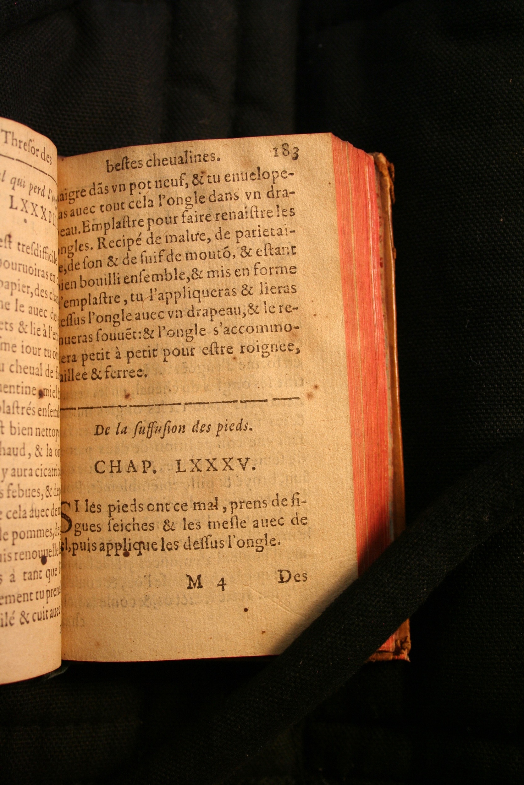 1591 - Pierre Chastaing et Benoît Rigaud - Trésor des bêtes chevalines - BM Bordeaux