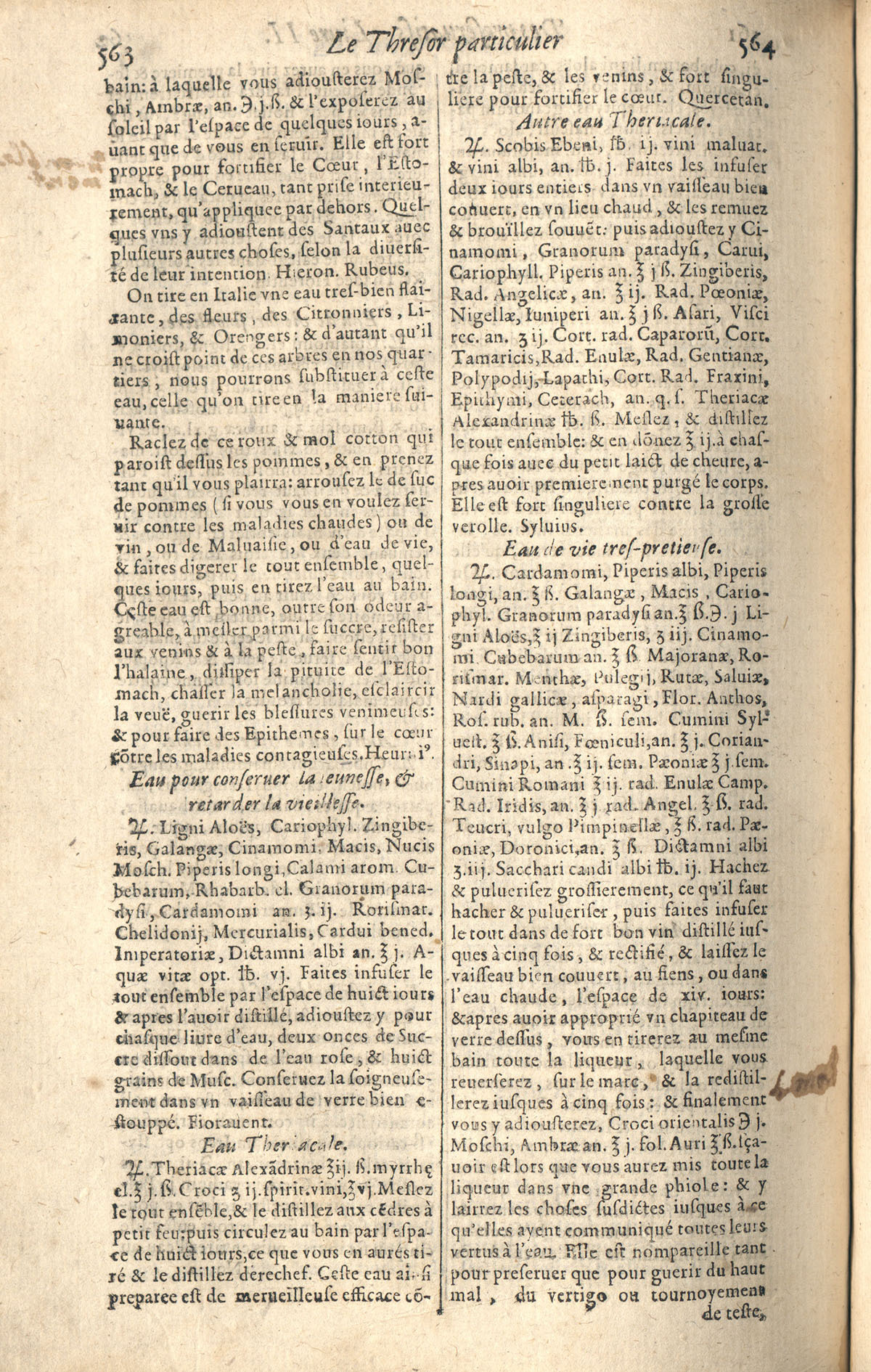 1610 - Étienne Gamonet - Grand Trésor ou dispensaire - CESR Tours