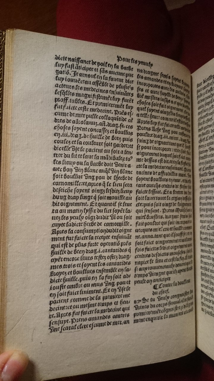 1568 - Willem Silvius - Trésor des vies de Plutarque - BnF
