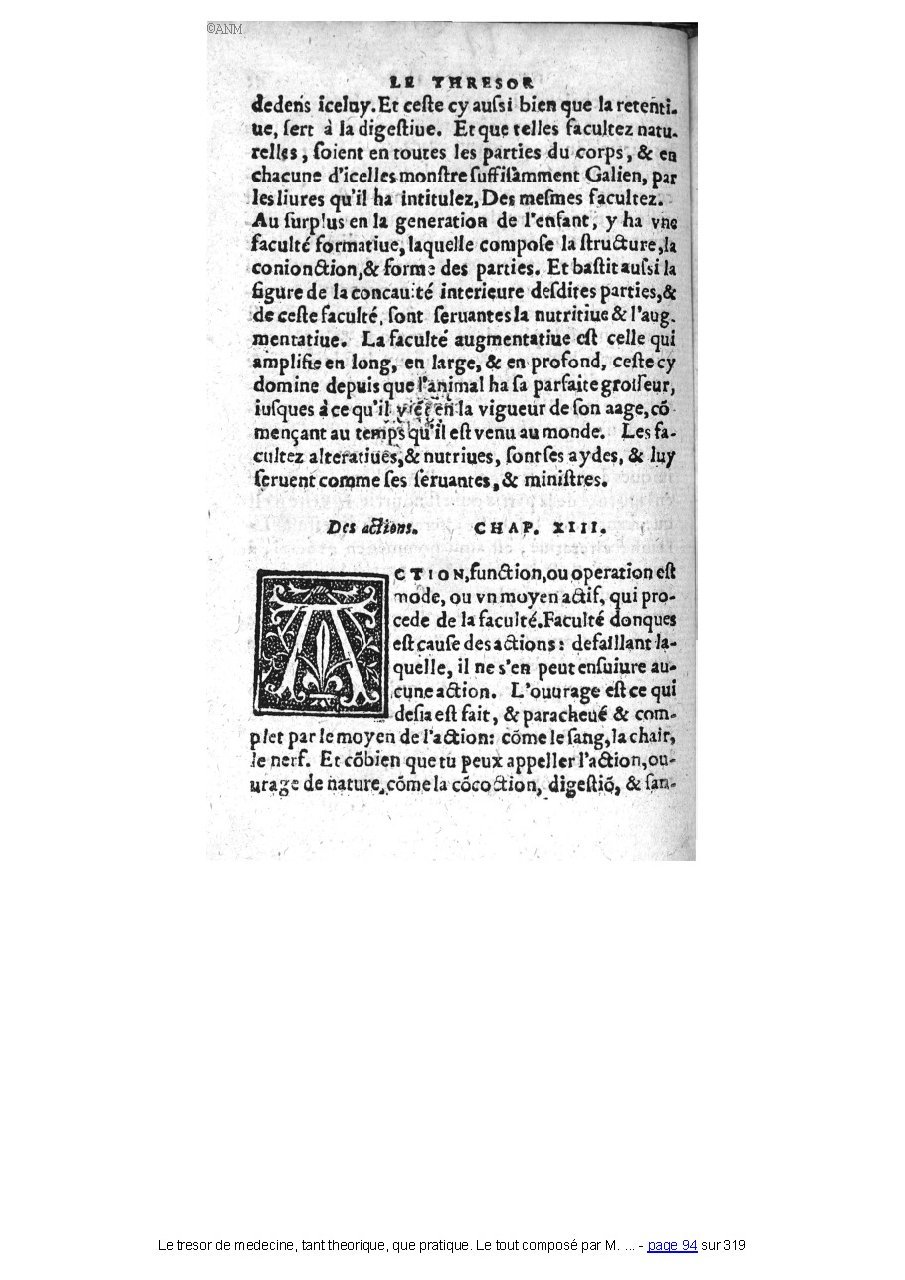 1560 - Pierre et Jan Moine - Trésor de médecine - Université Paris Cité