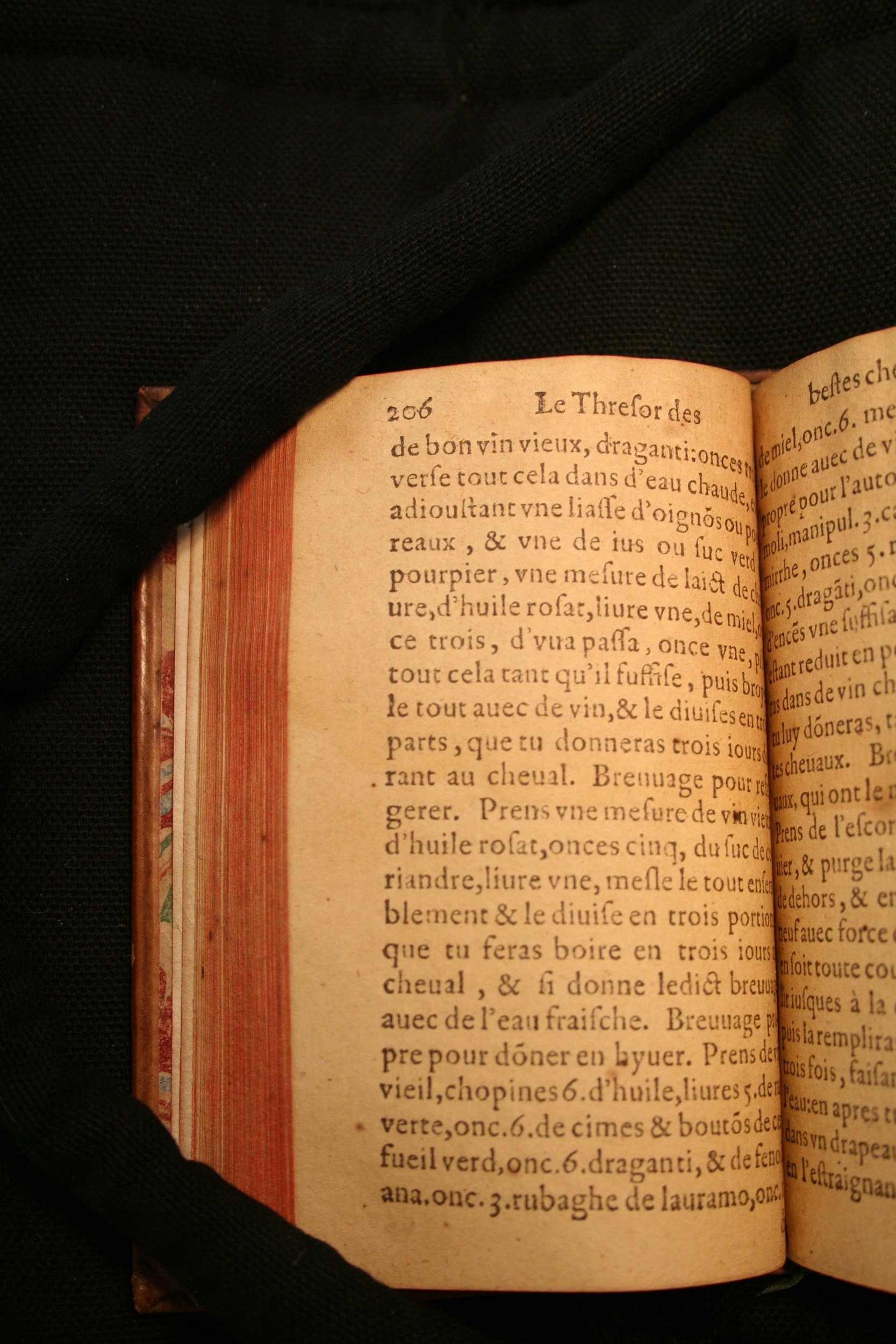 1591 - Pierre Chastaing et Benoît Rigaud - Trésor des bêtes chevalines - BM Bordeaux