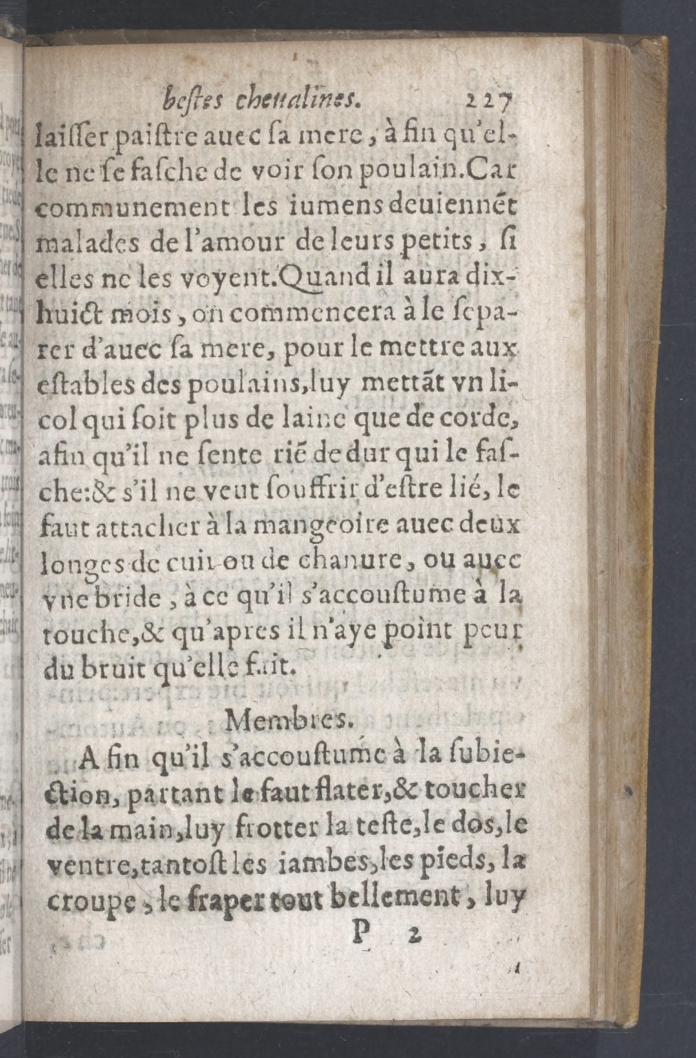 1619 - Pierre Rigaud - Trésor des bêtes chevalines - BnF 1619 - Pierre Rigaud - Trésor des bêtes chevalines - BnF
