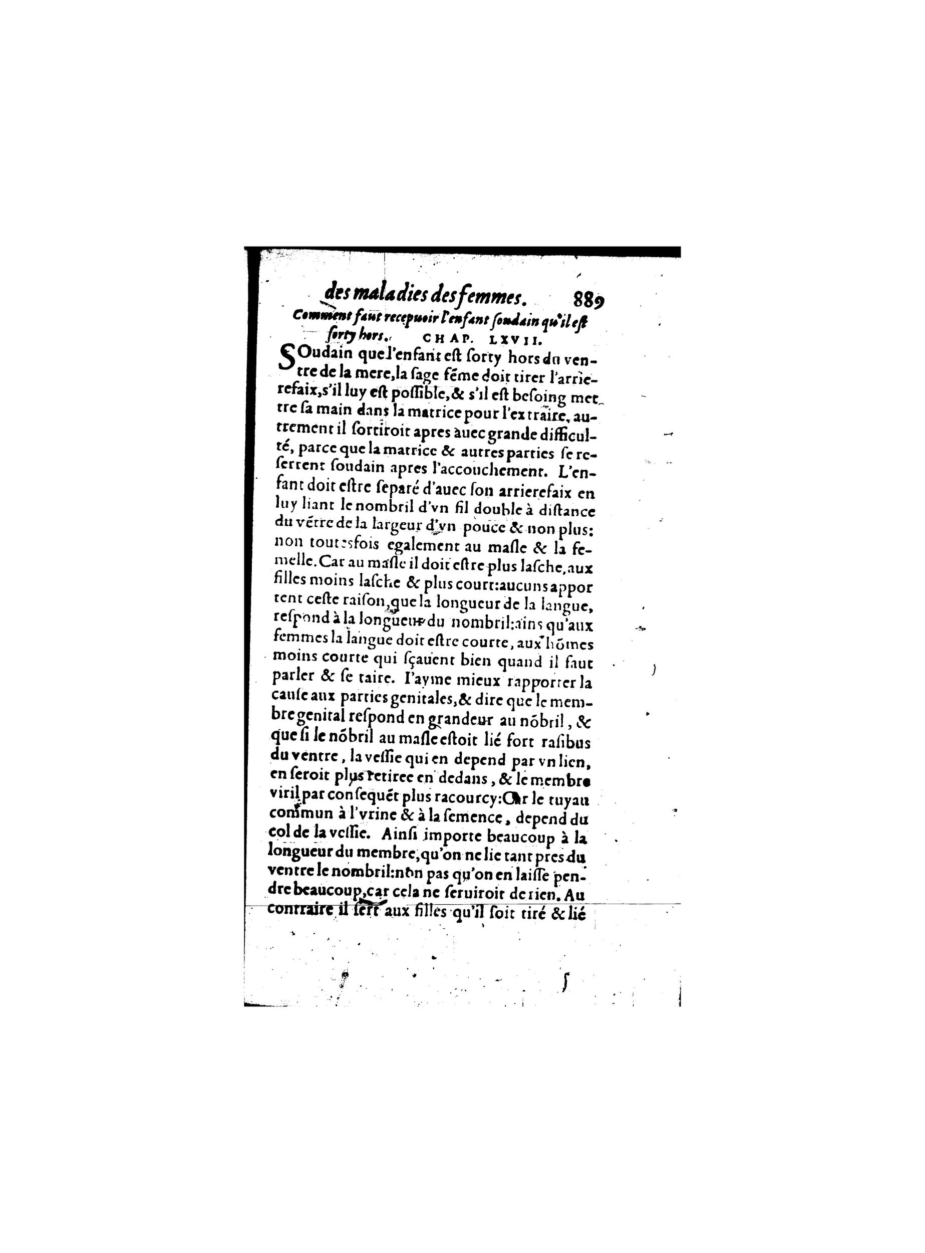 1587 - Jacques du Puis - Trésor des remèdes secrets pour les maladies des femmes - BnF 1587 - Jacques du Puis - Trésor des remèdes secrets pour les maladies des femmes - BnF