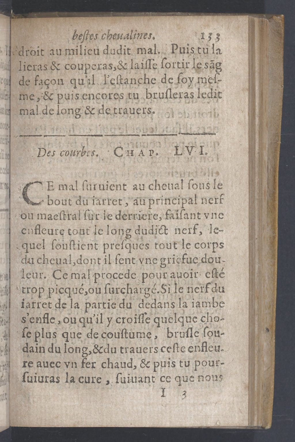 1619 - Pierre Rigaud - Trésor des bêtes chevalines - BnF
