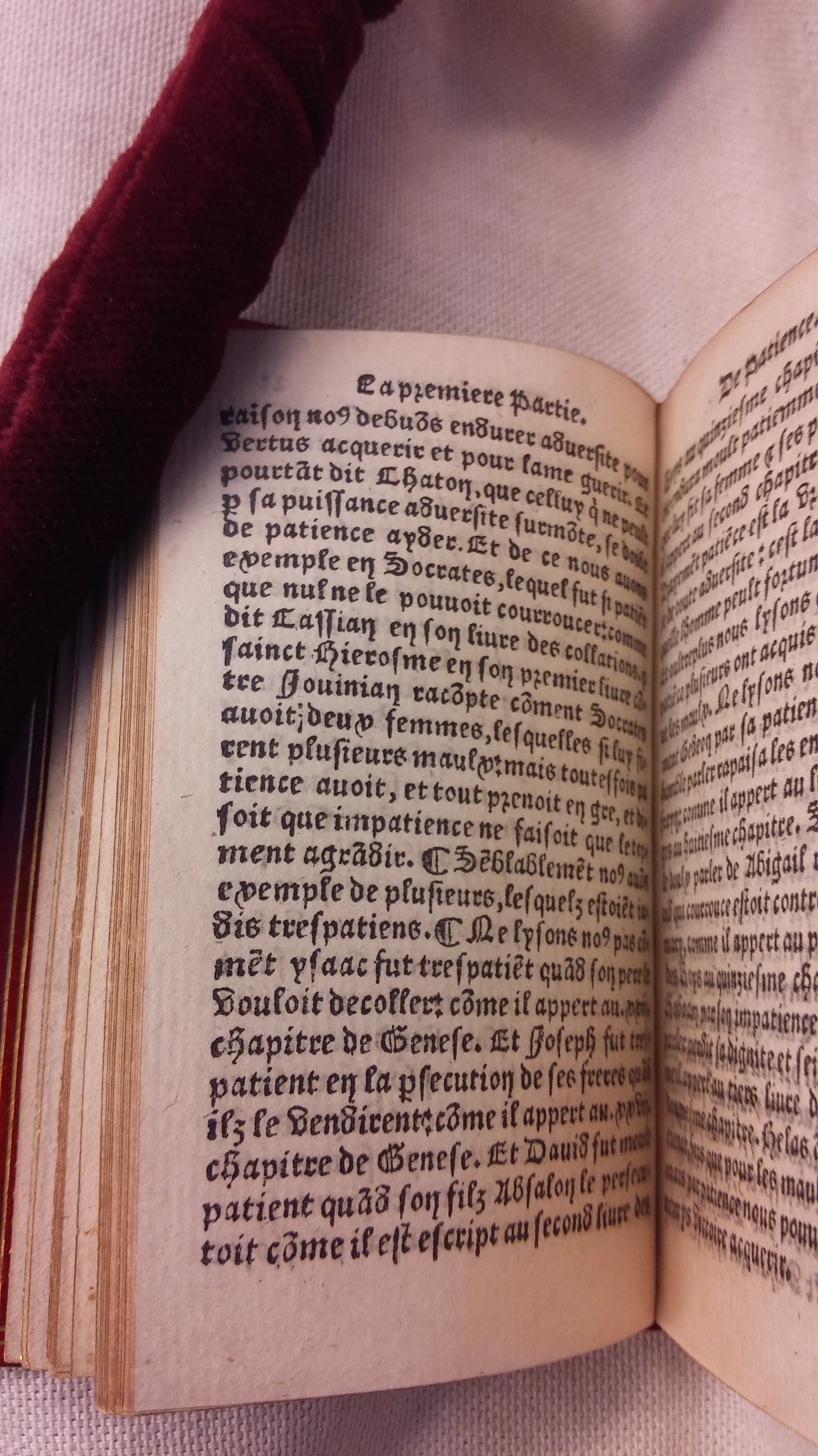 1542 - Denis de Harsy - Trésor de sapience et fleur de toute bonté - BIS