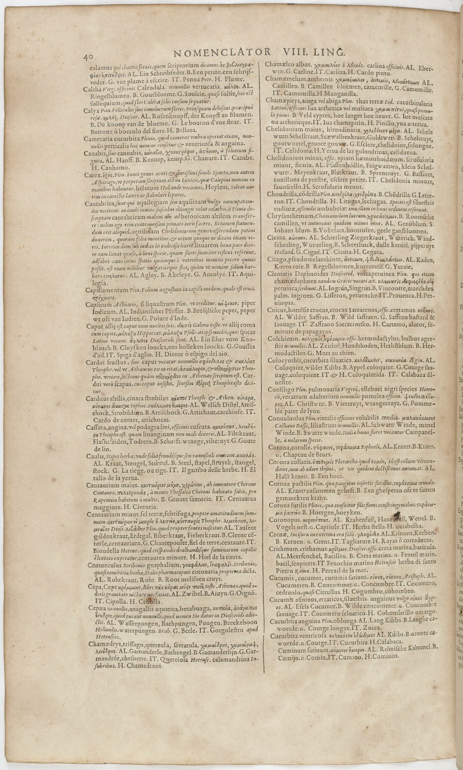 1606 - David Douceur - Trésor de la langue française - BnF