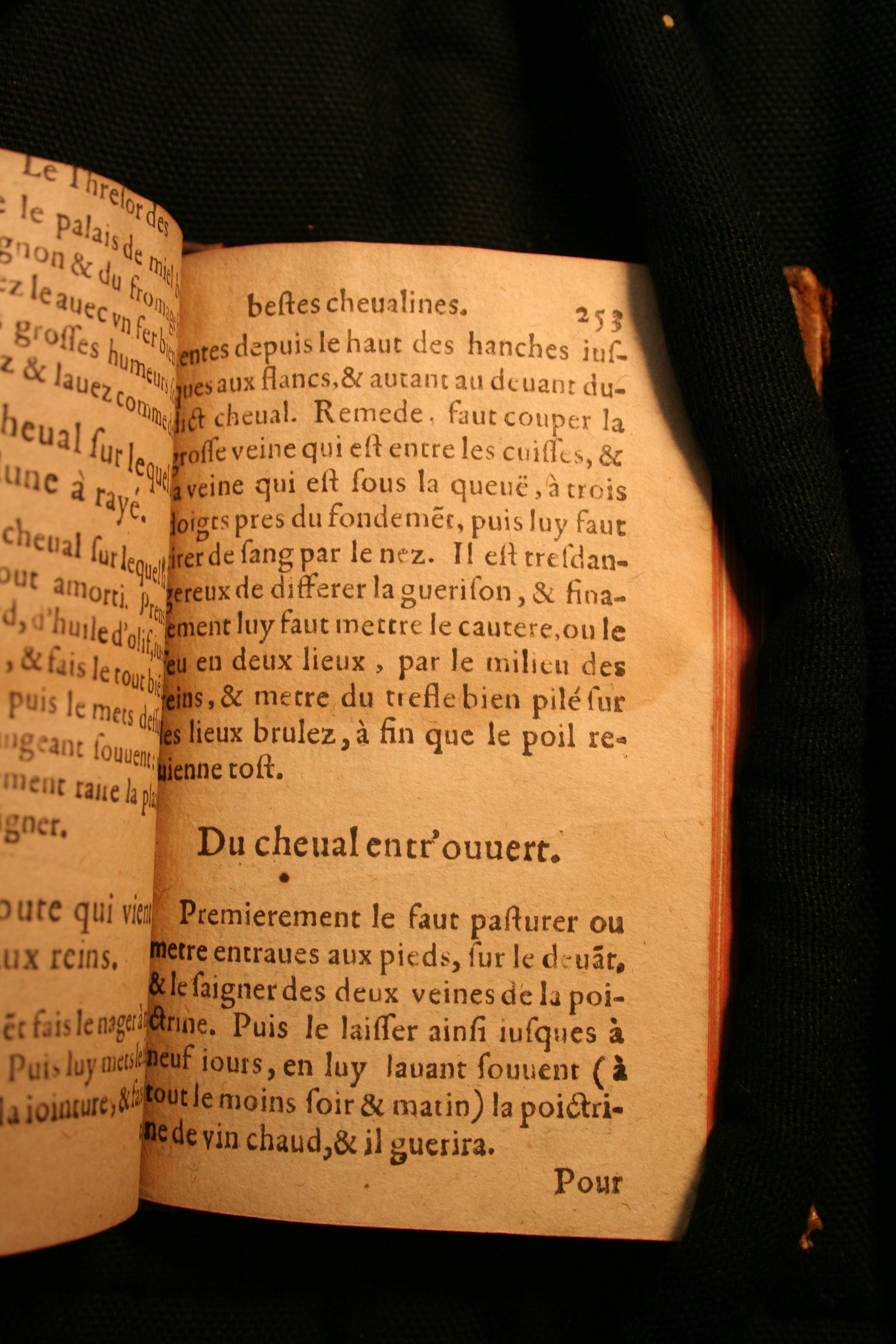 1591 - Pierre Chastaing et Benoît Rigaud - Trésor des bêtes chevalines - BM Bordeaux