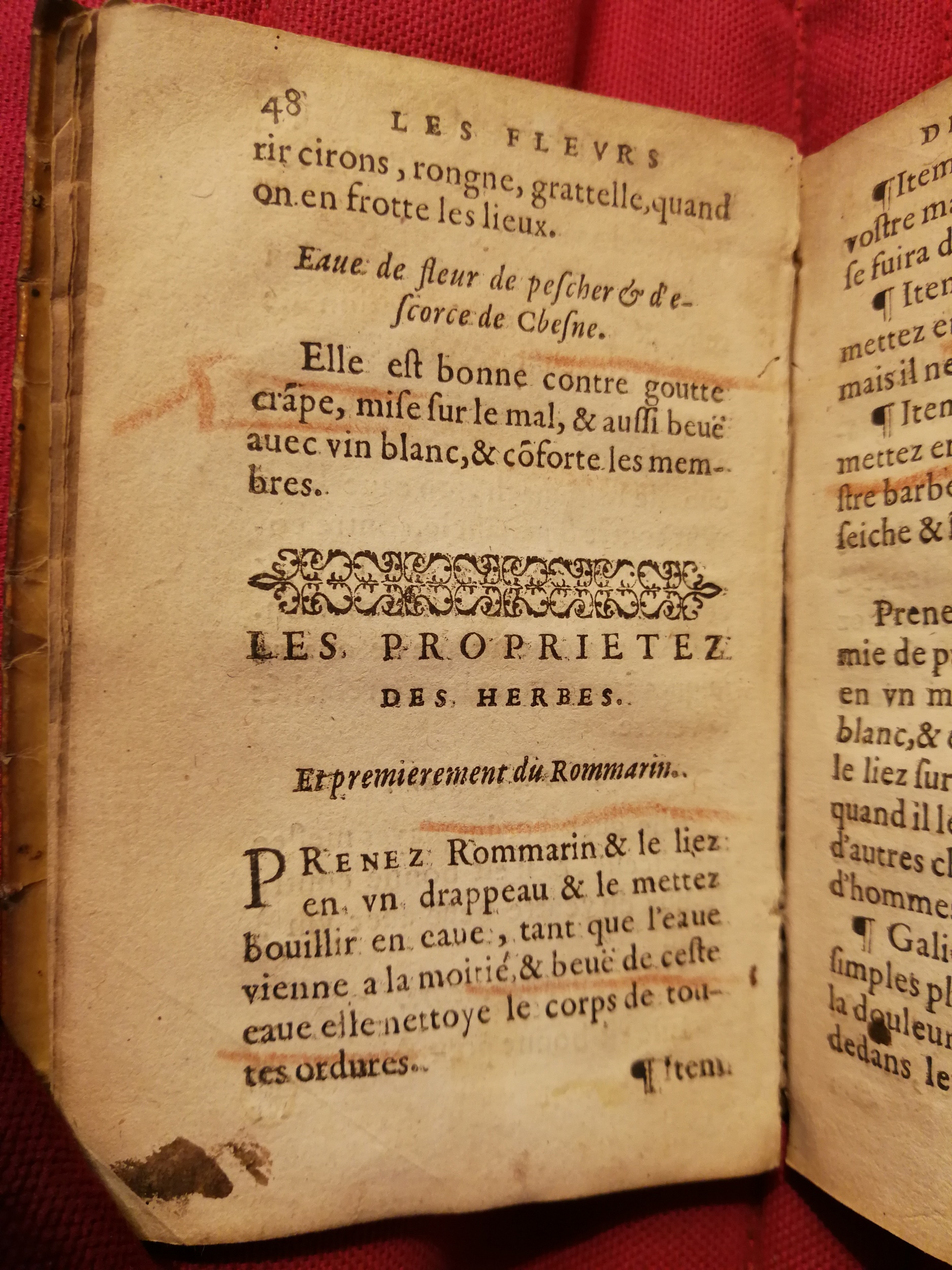 1586 - Benoît Rigaud - Trésor des fleurs et secrets de médecine - Sainte-Geneviève