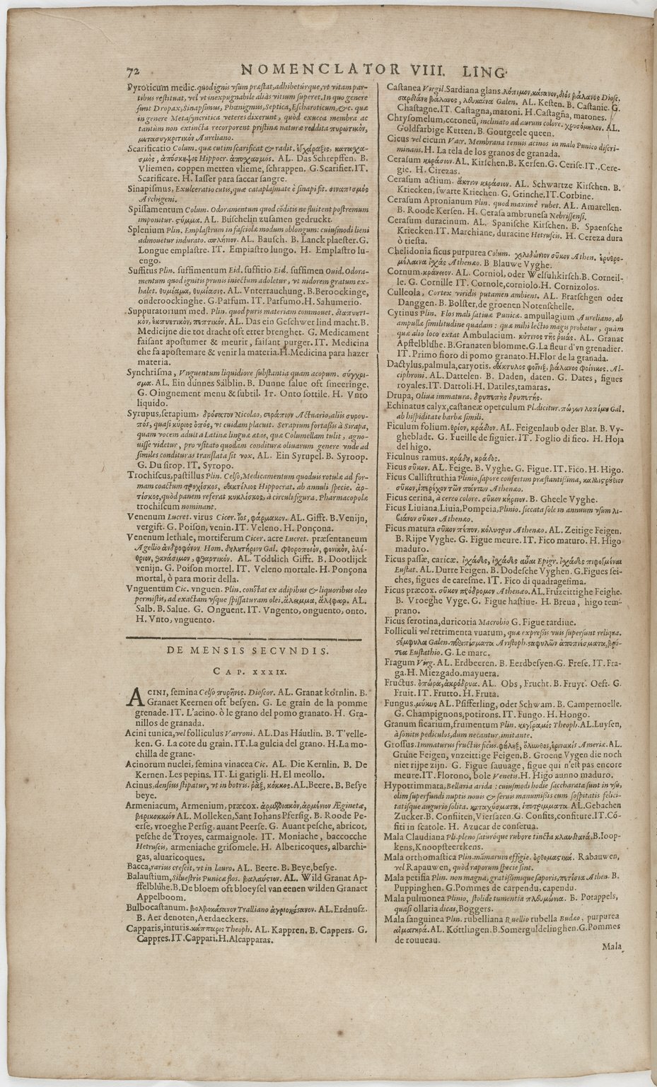 1606 - David Douceur - Trésor de la langue française - BnF
