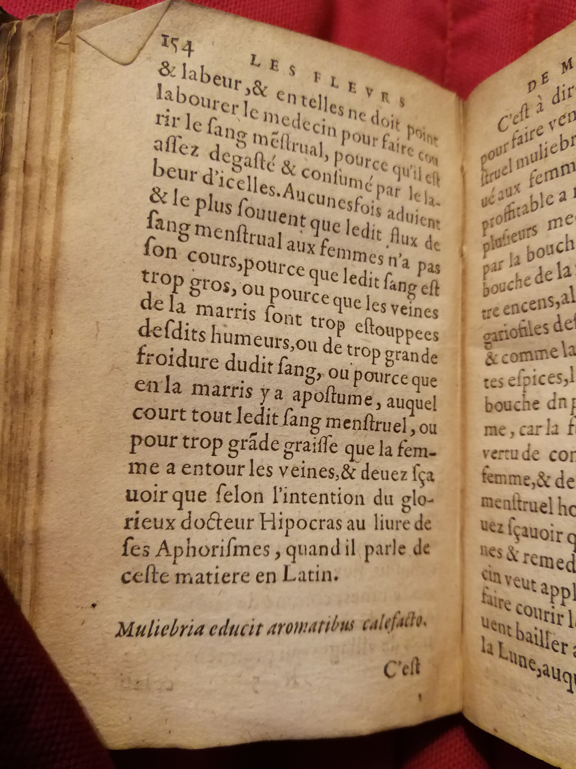 1586 - Benoît Rigaud - Trésor des fleurs et secrets de médecine - Sainte-Geneviève