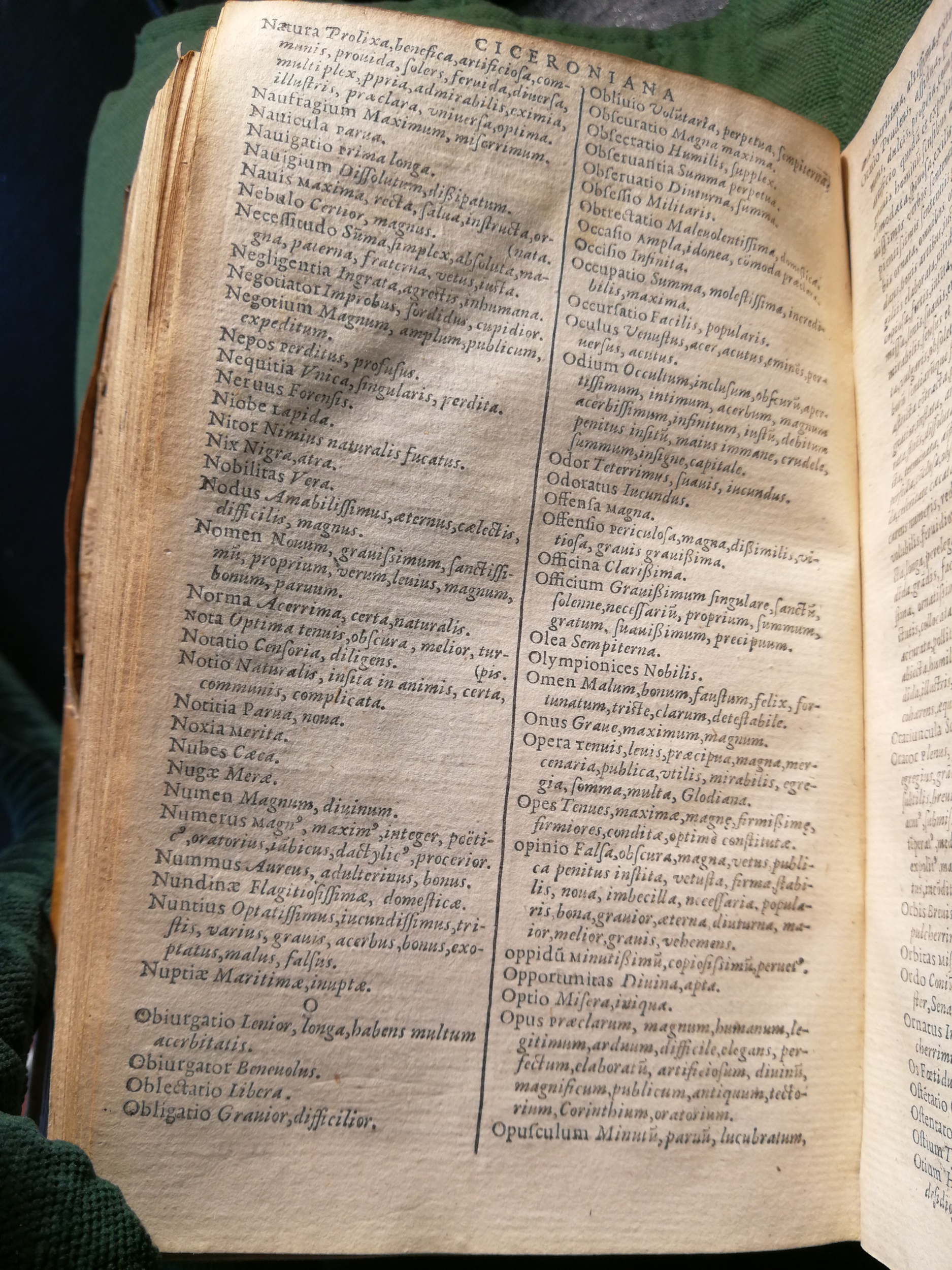 1597 - Martin le Mégissier - Trésor des mots et traits français - BnF