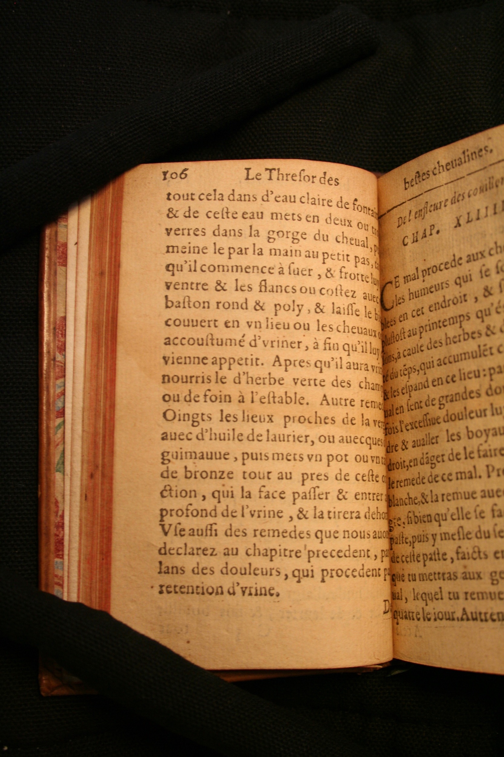 1591 - Pierre Chastaing et Benoît Rigaud - Trésor des bêtes chevalines - BM Bordeaux