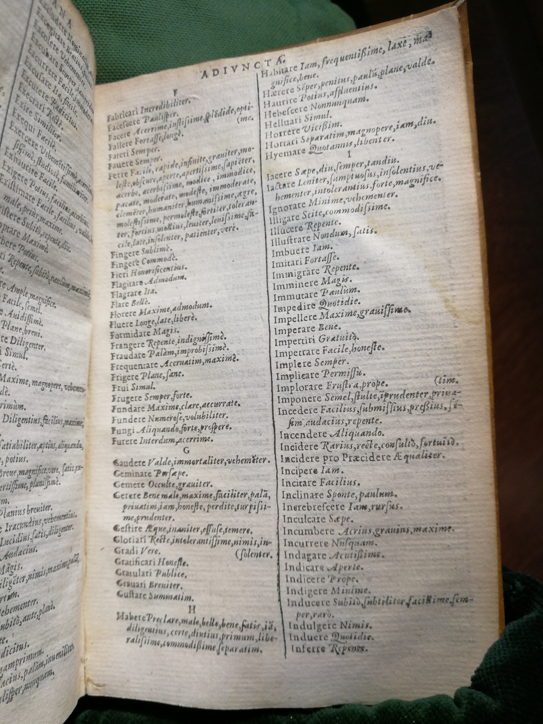 1597 - Martin le Mégissier - Trésor des mots et traits français - BnF