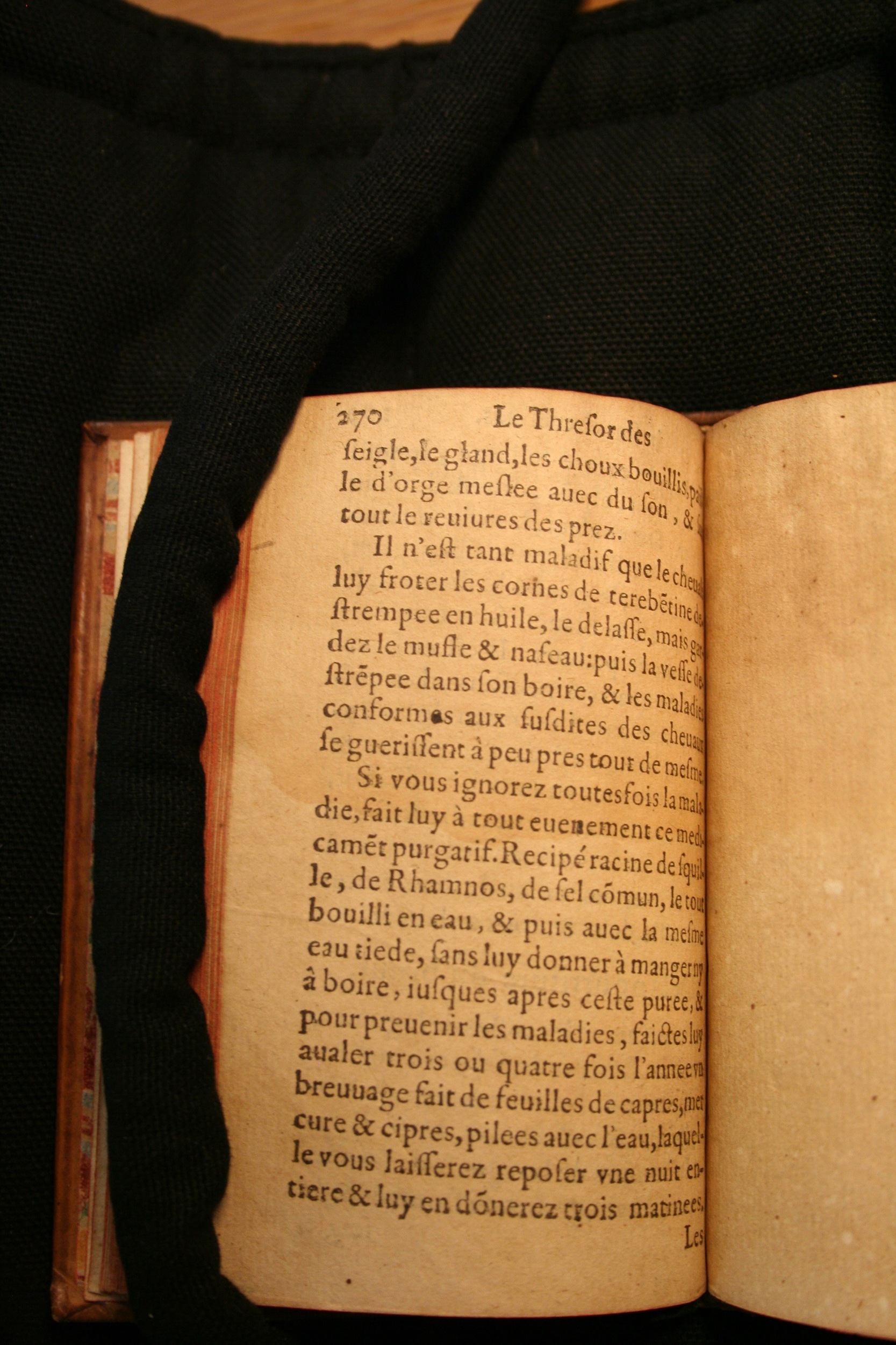 1591 - Pierre Chastaing et Benoît Rigaud - Trésor des bêtes chevalines - BM Bordeaux