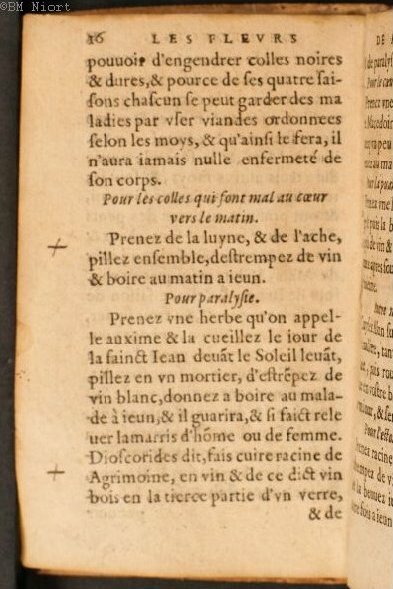 1586 - Benoît Rigaud - Trésor des fleurs et secrets de médecine - Université Paris Cité