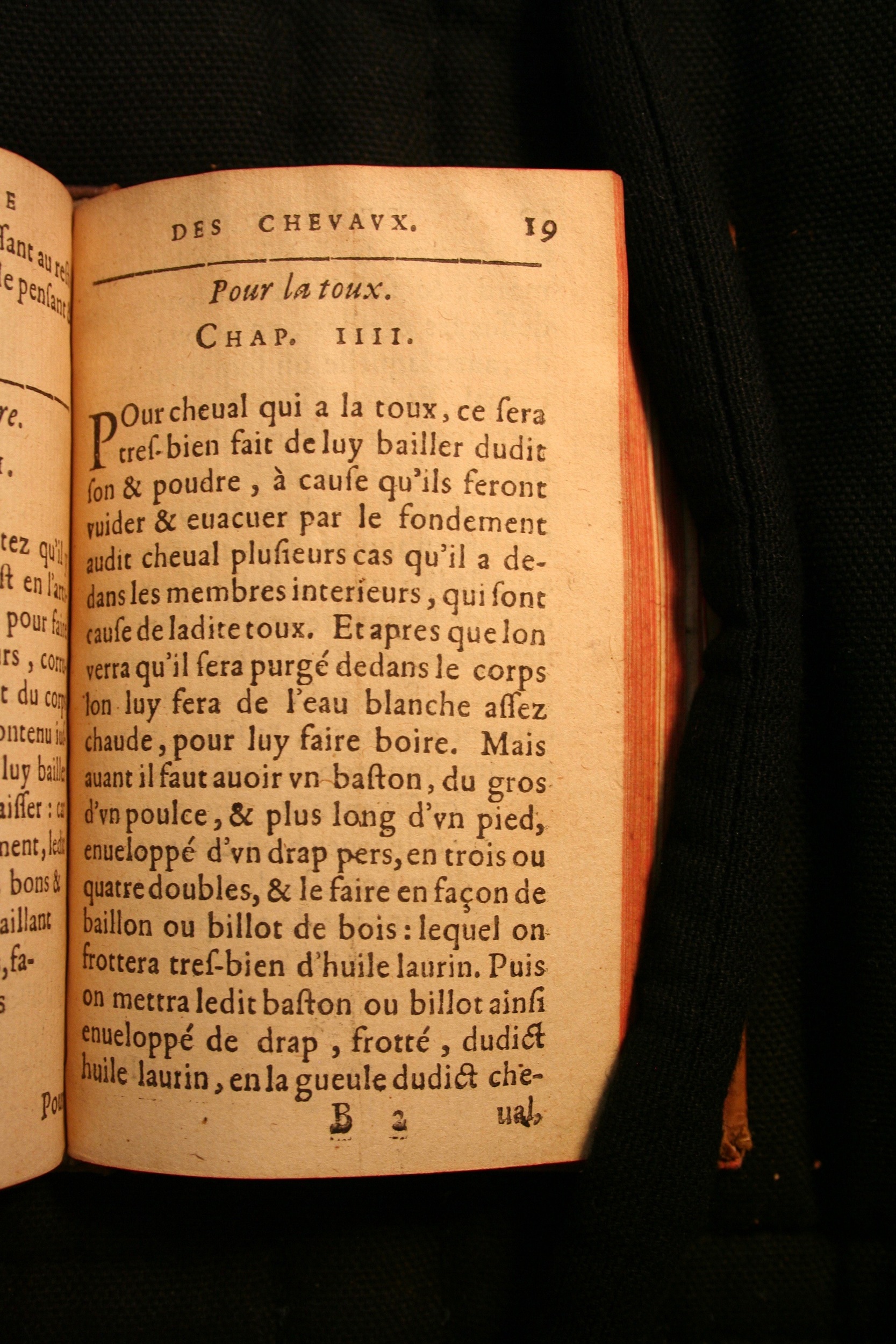 1591 - Pierre Chastaing et Benoît Rigaud - Trésor des bêtes chevalines - BM Bordeaux