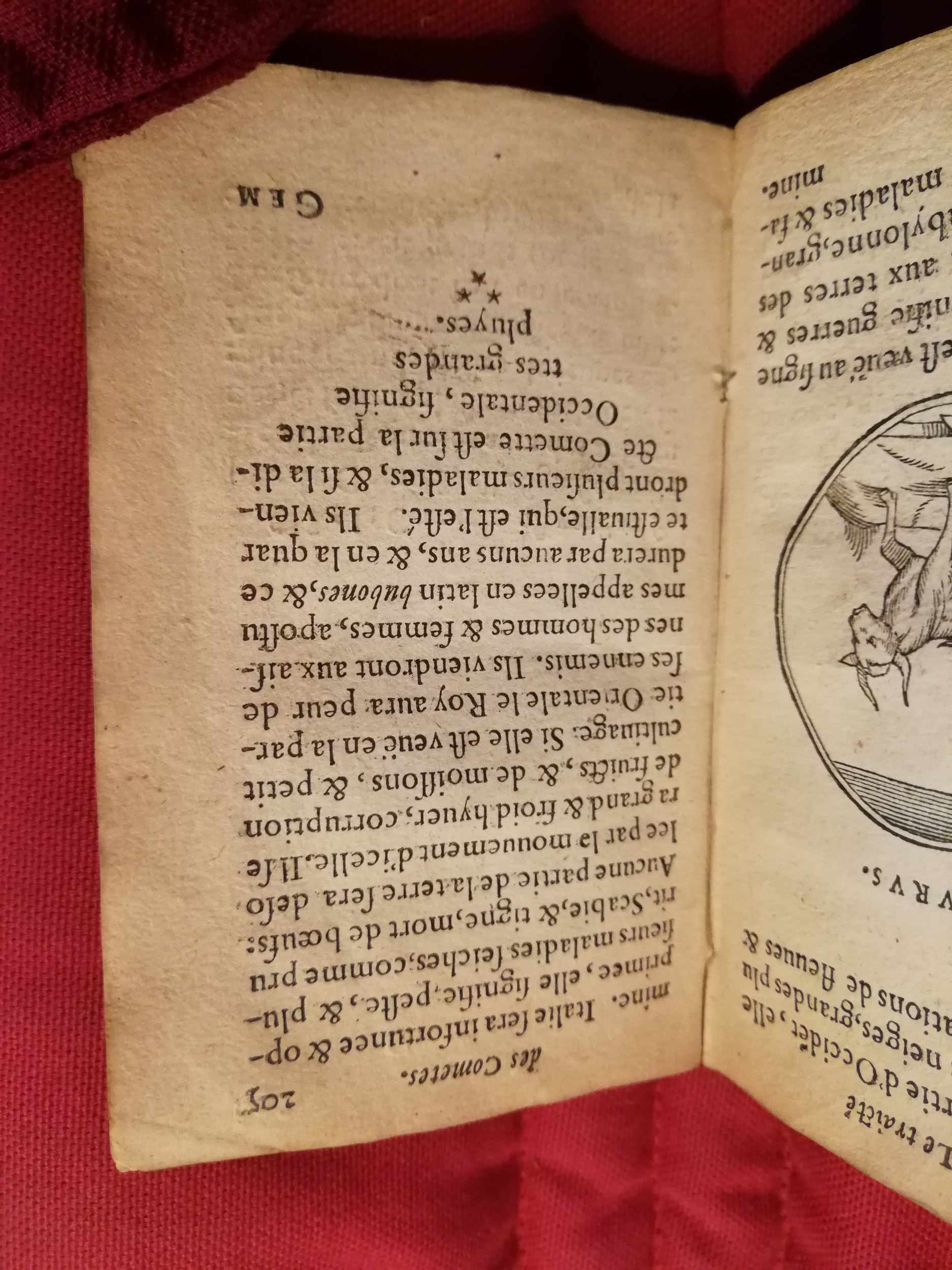 1586 - Benoît Rigaud - Trésor des fleurs et secrets de médecine - Sainte-Geneviève