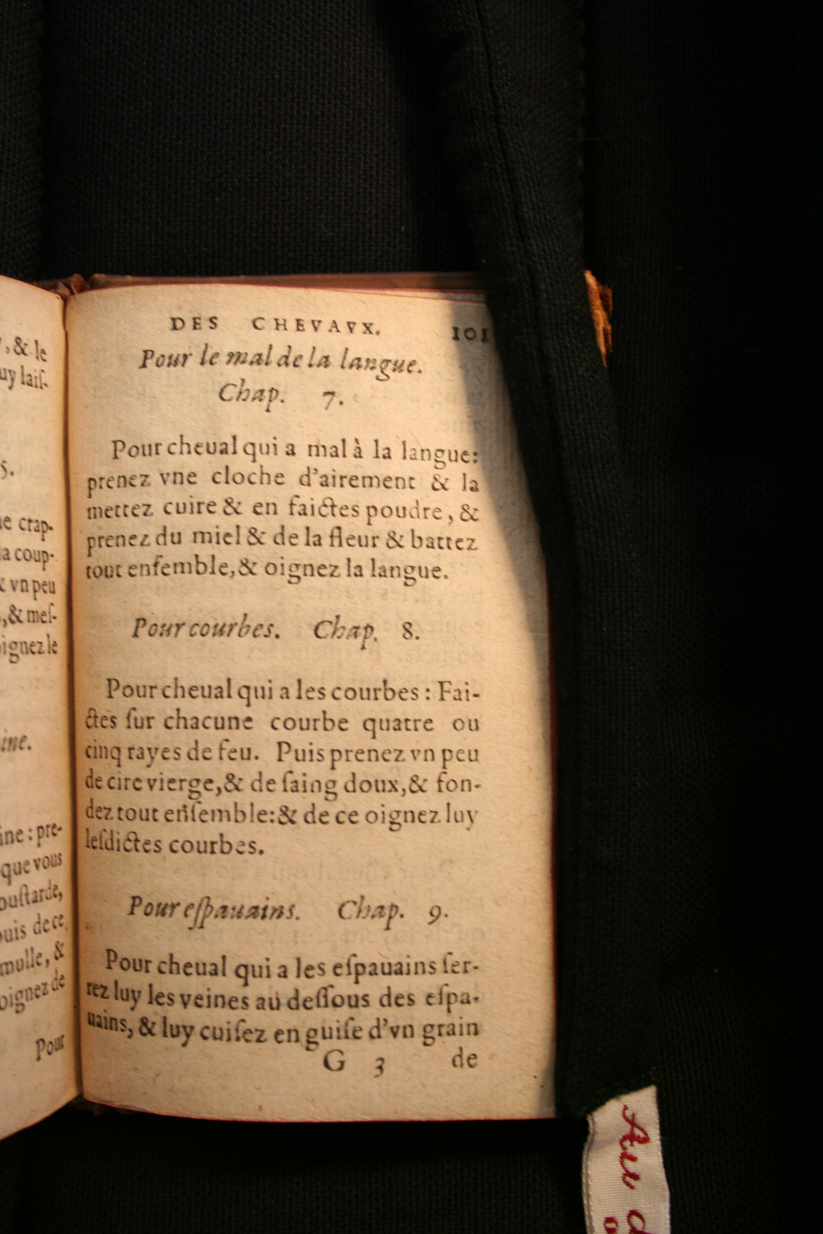 1591 - Pierre Chastaing et Benoît Rigaud - Trésor des bêtes chevalines - BM Bordeaux