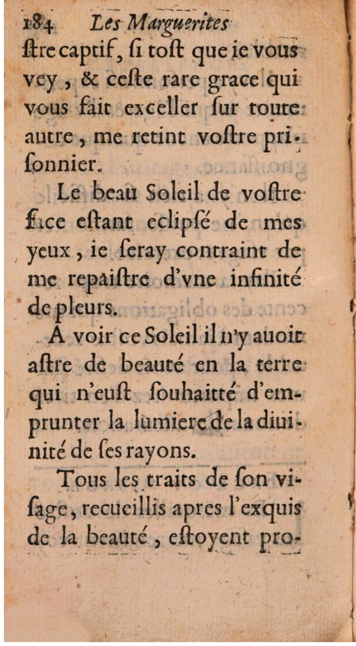1608 - Théodore Reinsart - Les Marguerites françaises ou Trésor des Fleurs du bien-dire - BSB Munich 1608 - Théodore Reinsart - Les Marguerites françaises ou Trésor des Fleurs du bien-dire - BSB Munich