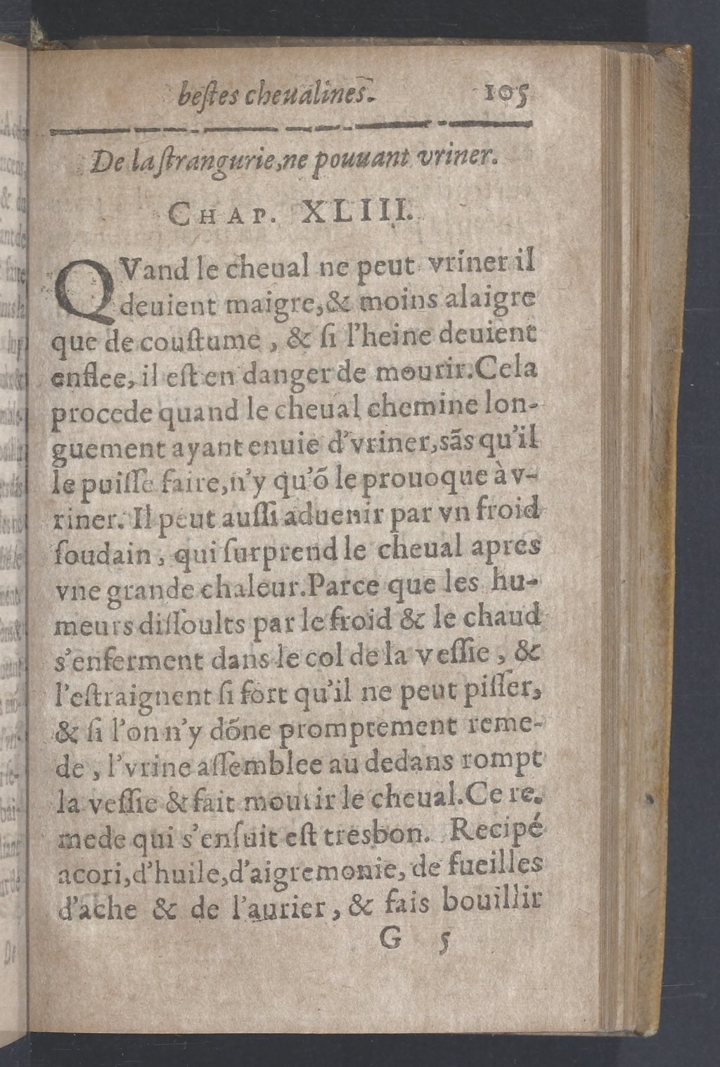 1619 - Pierre Rigaud - Trésor des bêtes chevalines - BnF