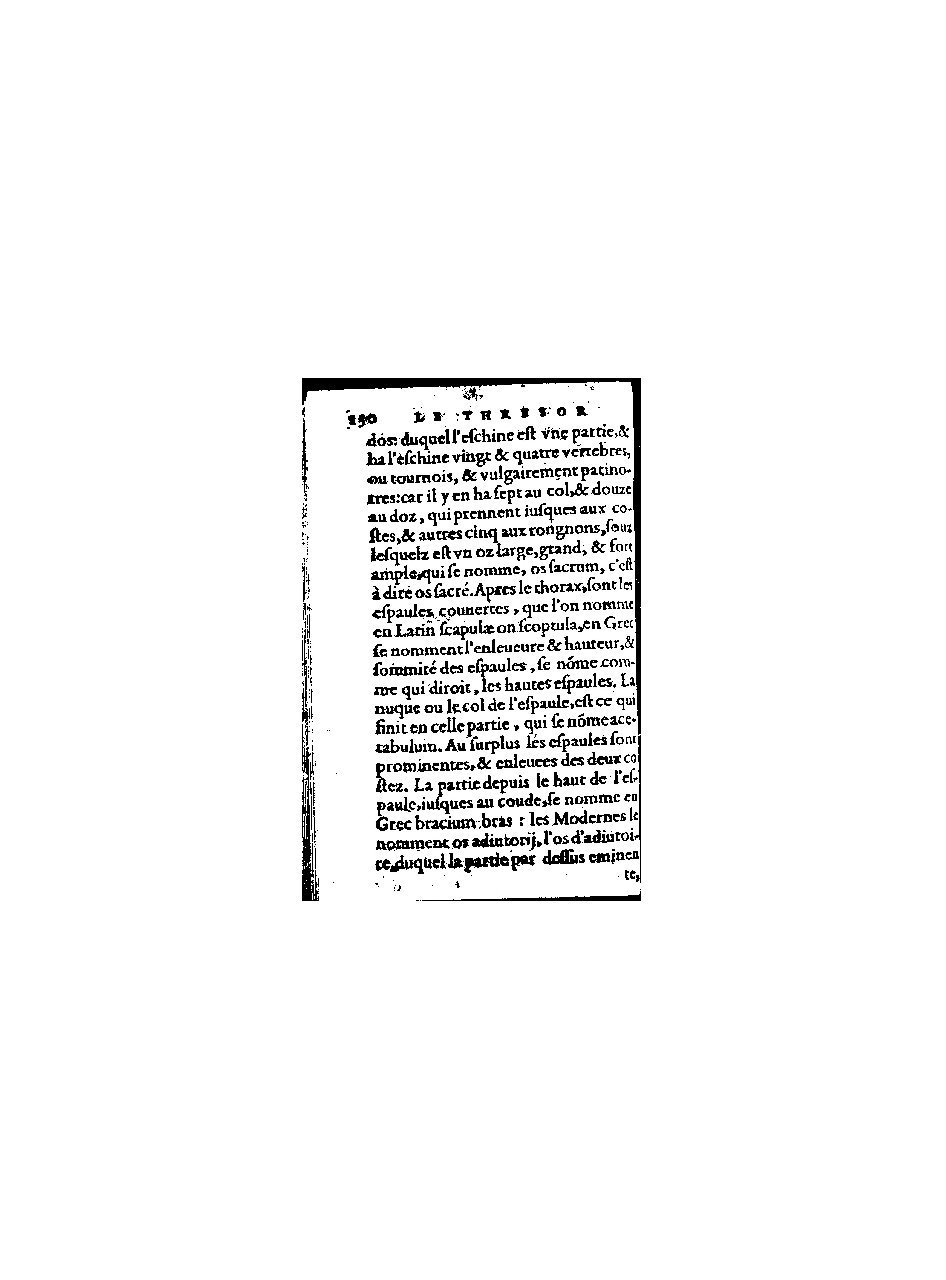 1578 - Benoît Rigaud - Trésor de médecine tant théorique que pratique - BnF