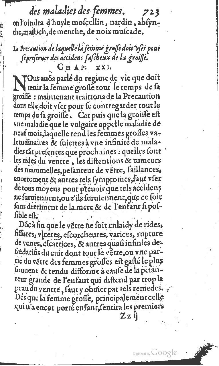 1617 - Jean Le Bouc - Trésor des remèdes secrets - BM Lyon