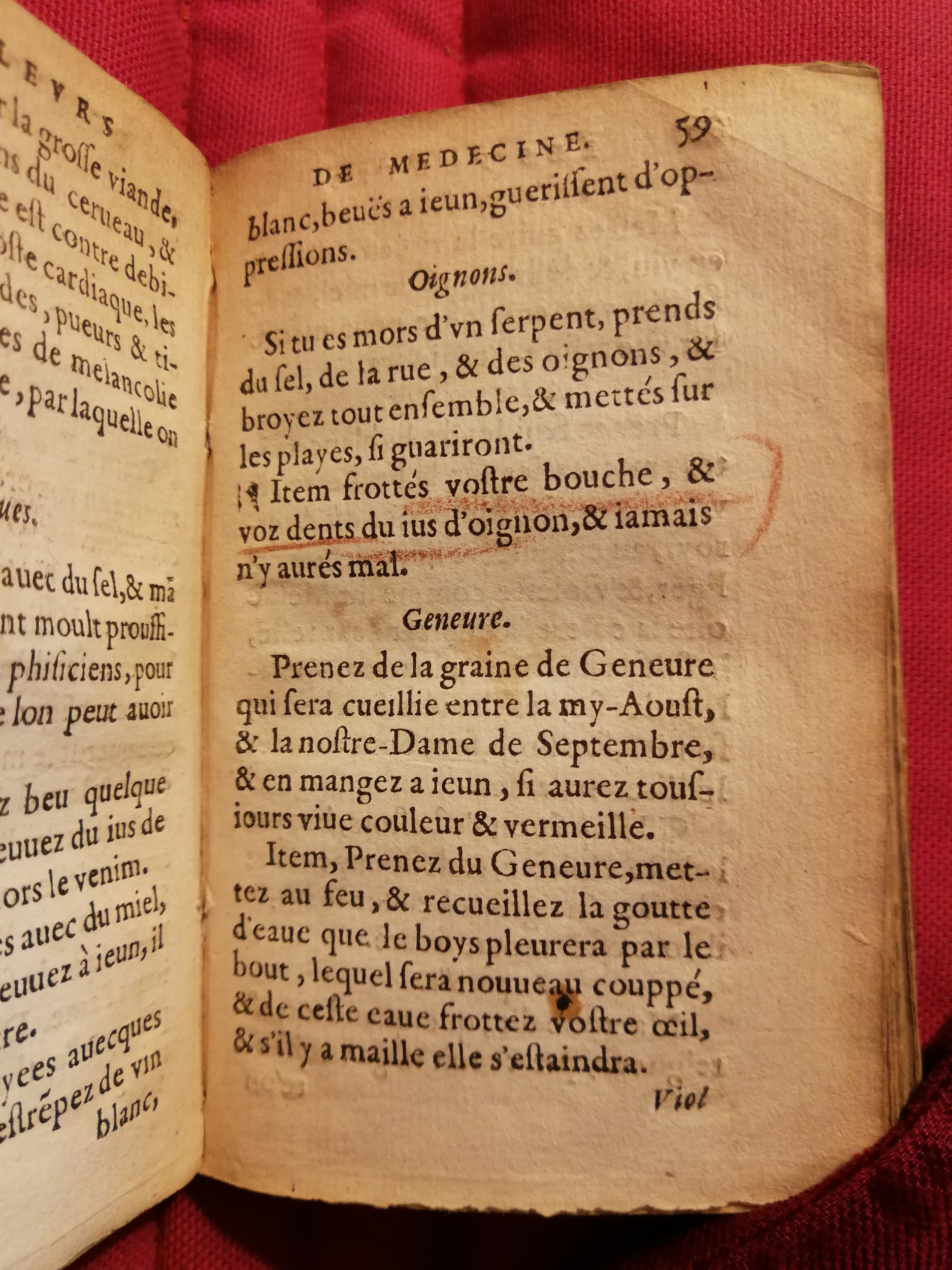 1586 - Benoît Rigaud - Trésor des fleurs et secrets de médecine - Sainte-Geneviève