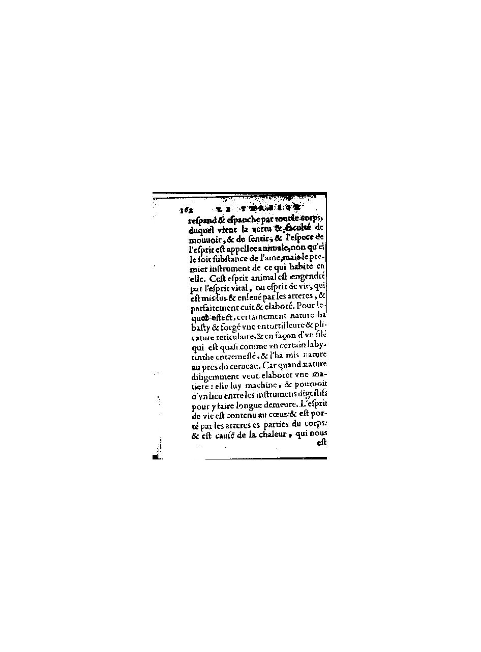 1578 - Benoît Rigaud - Trésor de médecine tant théorique que pratique - BnF