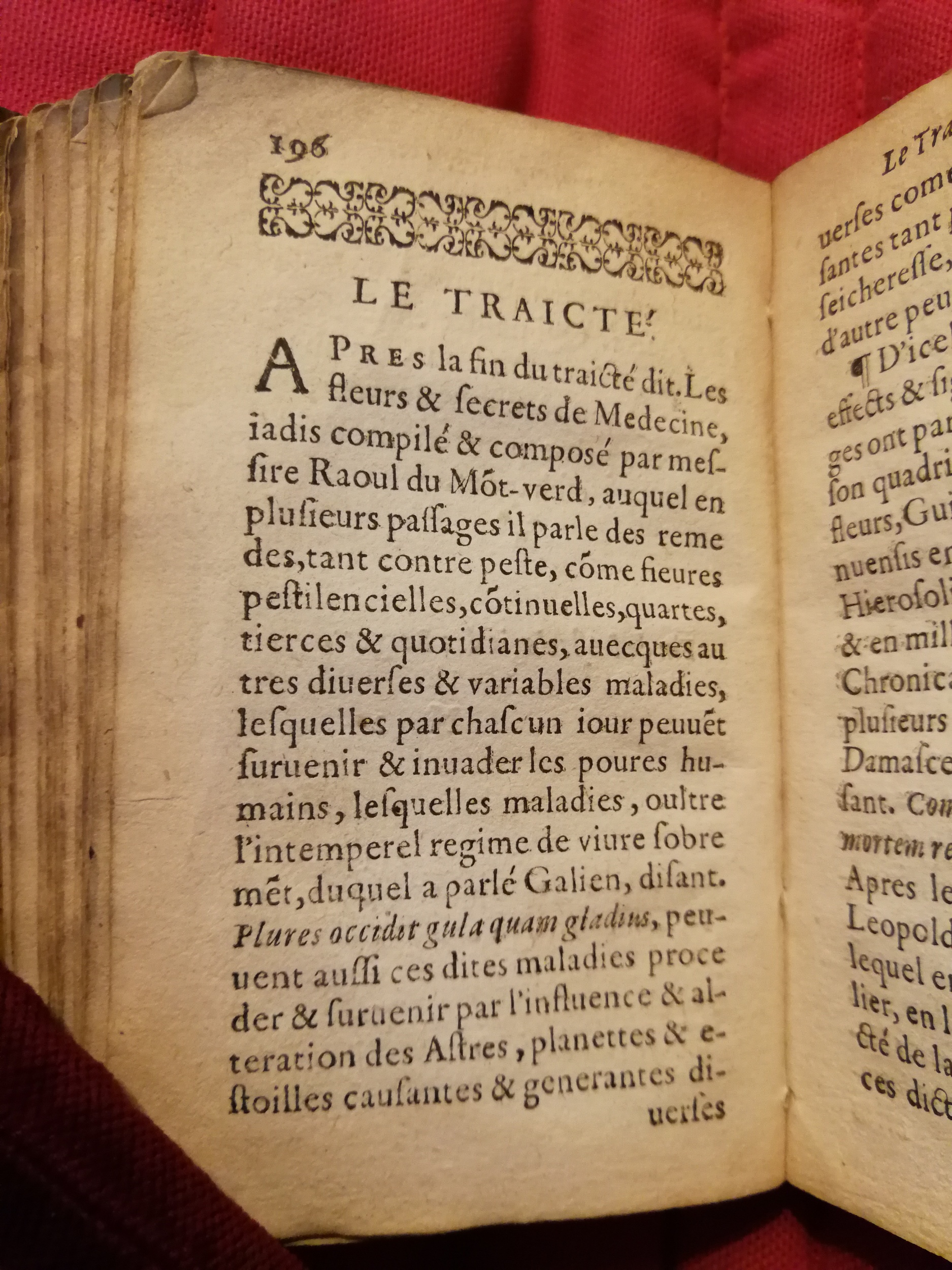 1586 - Benoît Rigaud - Trésor des fleurs et secrets de médecine - Sainte-Geneviève 1586 - Benoît Rigaud - Trésor des fleurs et secrets de médecine - Sainte-Geneviève