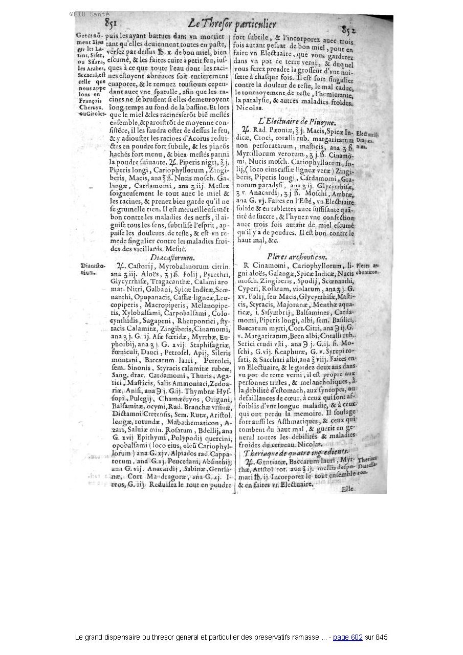 1609 - Étienne Gamonet - Grand dispensaire ou Trésor général et particulier des préservatifs - BIU Santé 1609 - Étienne Gamonet - Grand dispensaire ou Trésor général et particulier des préservatifs - BIU Santé