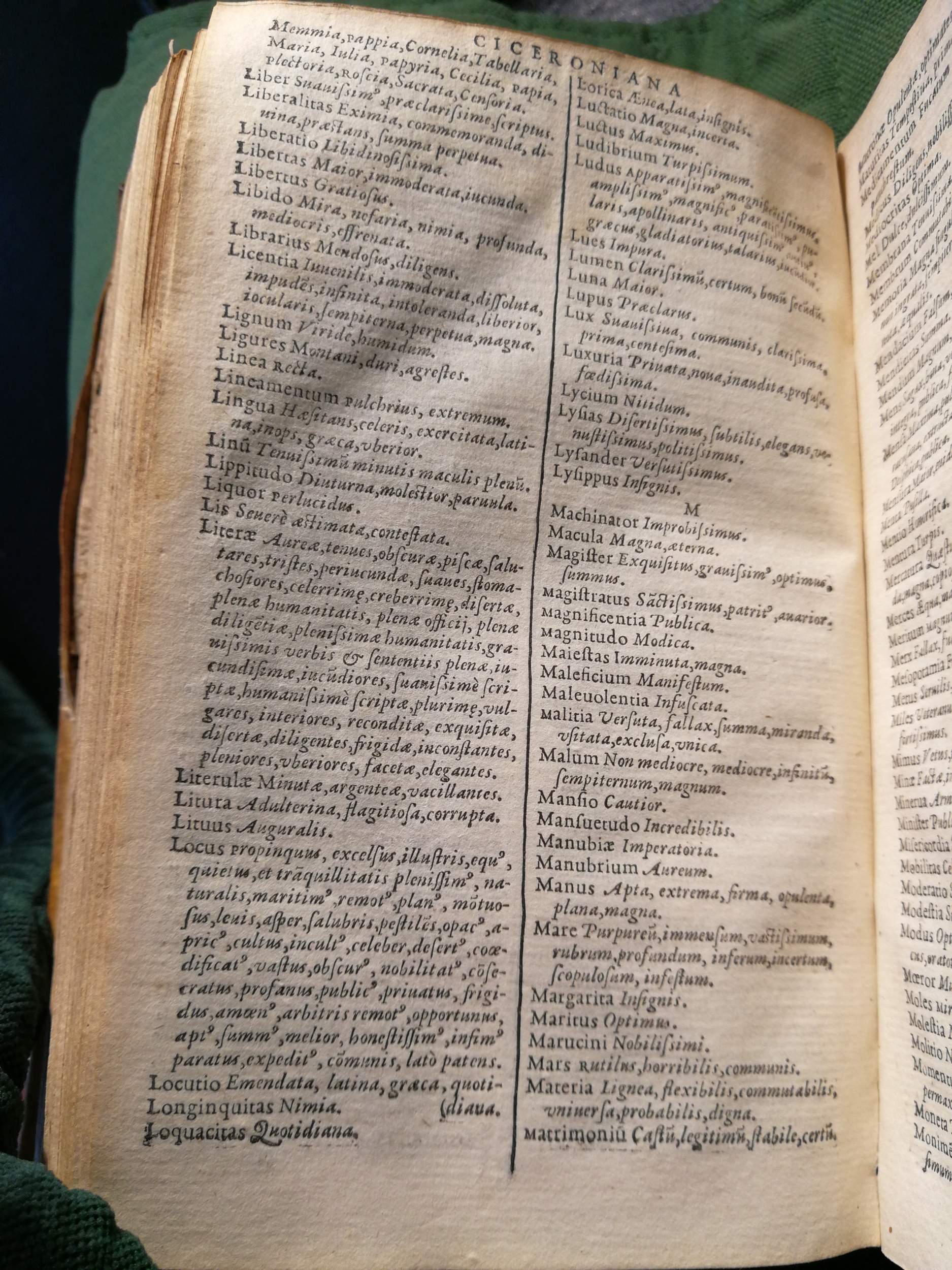 1597 - Martin le Mégissier - Trésor des mots et traits français - BnF 1597 - Martin le Mégissier - Trésor des mots et traits français - BnF