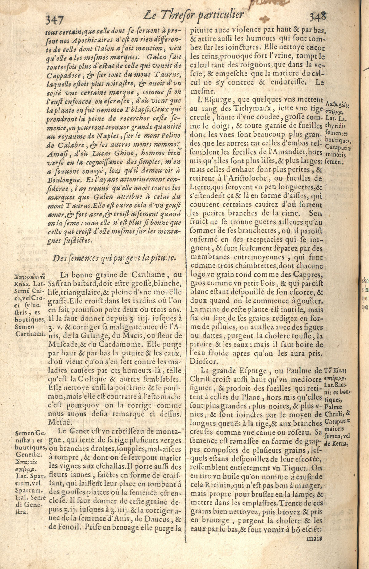 1610 - Étienne Gamonet - Grand Trésor ou dispensaire - CESR Tours