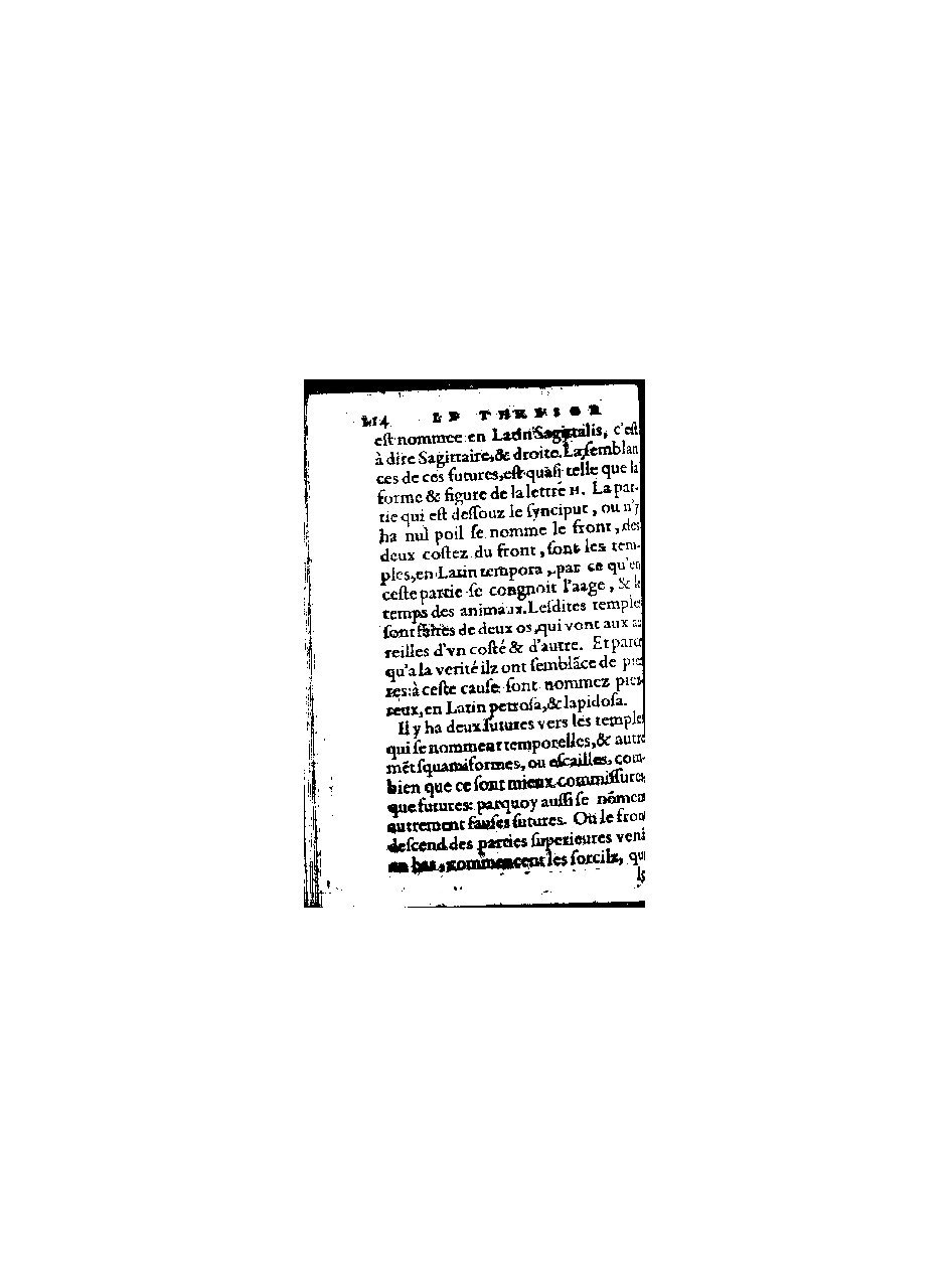 1578 - Benoît Rigaud - Trésor de médecine tant théorique que pratique - BnF